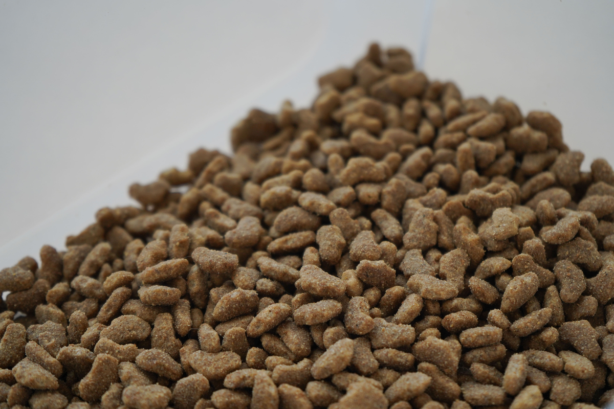 帮我写一个猫粮的带货视频视频文案250字左右