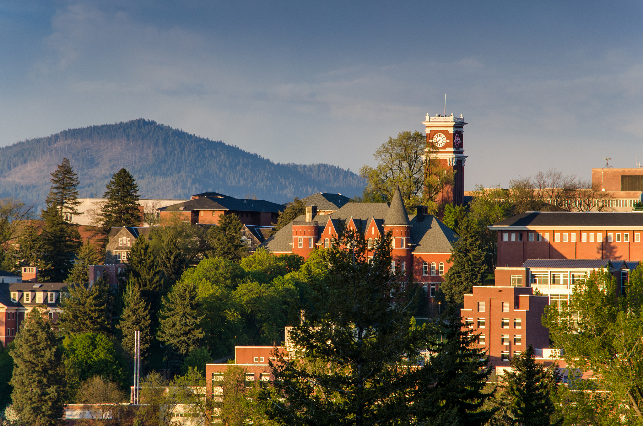 washington state university