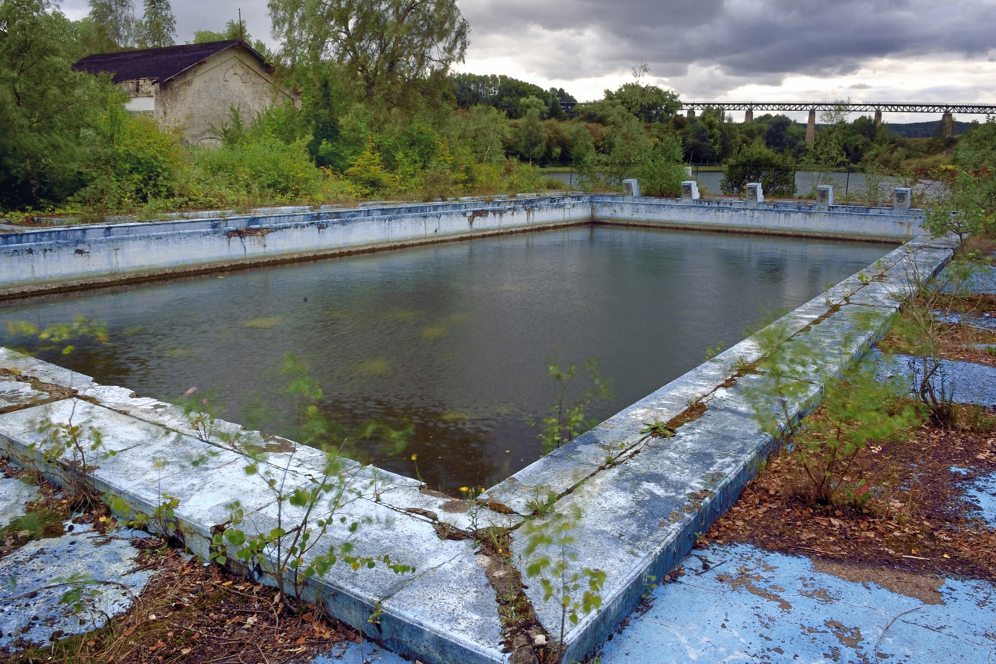 Pond Netting: Protect Your Pond & Fish from Debris, Predators & More