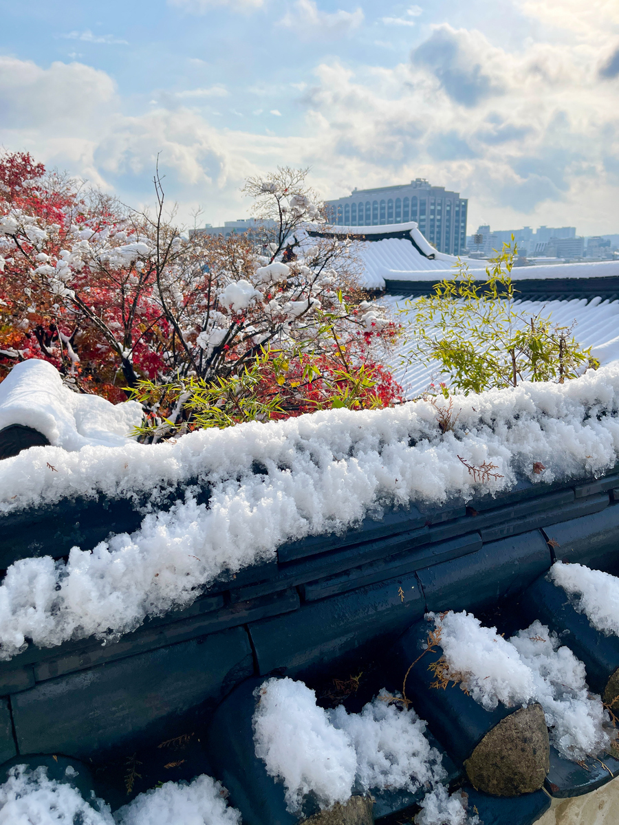 冬雪诗词：银装素裹，万物沉睡