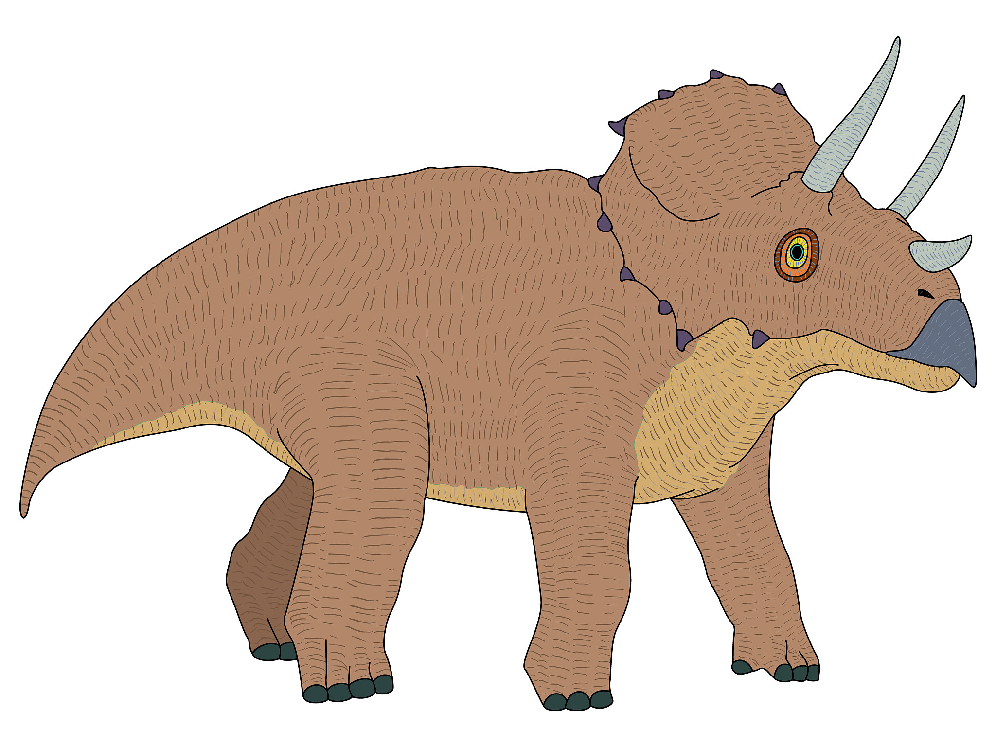 为什么恐龙会灭绝恐龙灭绝的原因可能是多种因素的综合作用包括：1 大规模地球气候变化：一些科学家认为一系列地质事件例如火山爆发、海平面上升和气候变化导致了大规模的环境改变这对恐龙的生存环境造成了严重影响。2 海洋污染或污染物扩散：恐龙许多品种有可能依赖于特定的植被或其他生物群落来维持其生存如果这些植被或生物群落遭到污染或扰乱恐龙的食物链将被打破。3 大型天体撞击：一个小行星或彗星可能在地球表面碰撞形