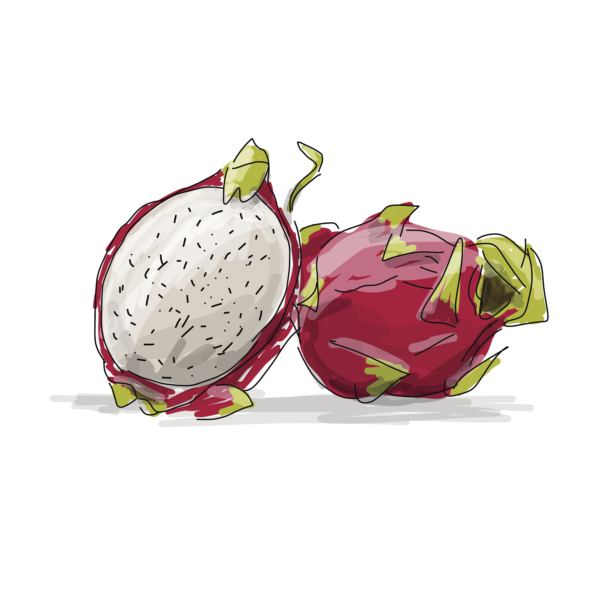 二年级美术教案：火龙果绘画