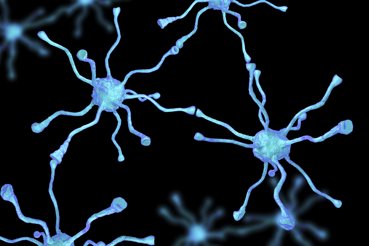 人有多少个脑神经元