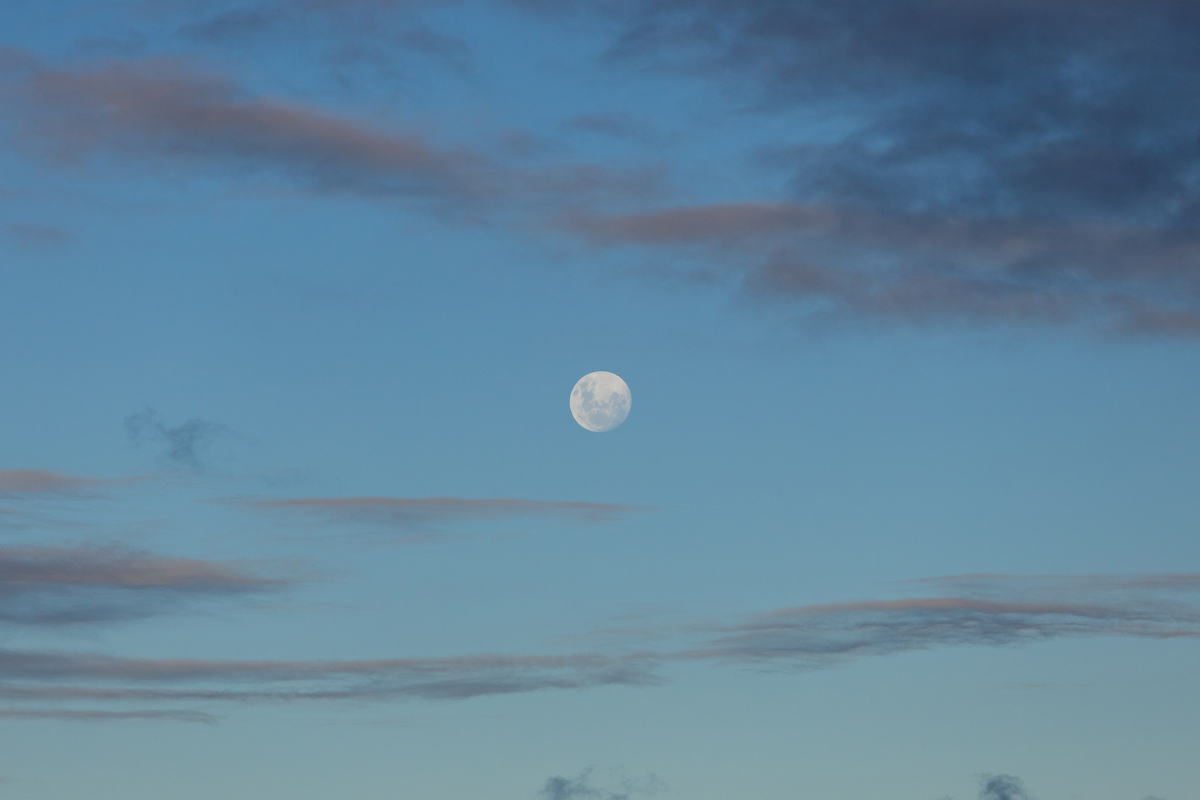 李白观月爆：惊世奇观，诗情画意