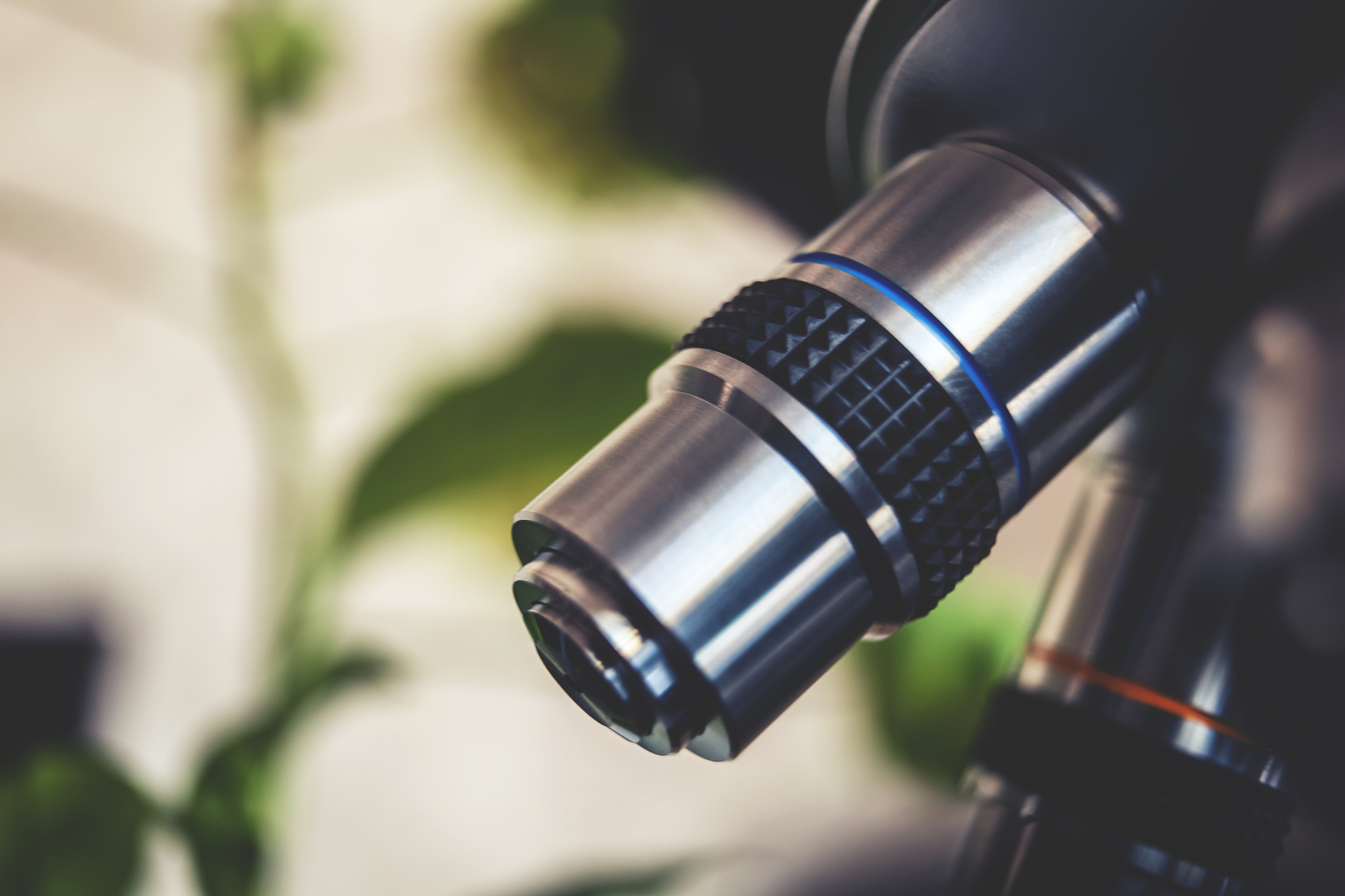 宋朝王安石写过一篇《伤仲永》的短文说江西今溪有个叫伤仲永的少年5岁时就能作诗但后来由于他父亲没有及时教育他到十二三岁写的诗就大不如从前到20岁左右时则泯然众人矣。请用遗传、环境、教育在人的身心发展中的作用理论来分析每一点要求500字总计1500字