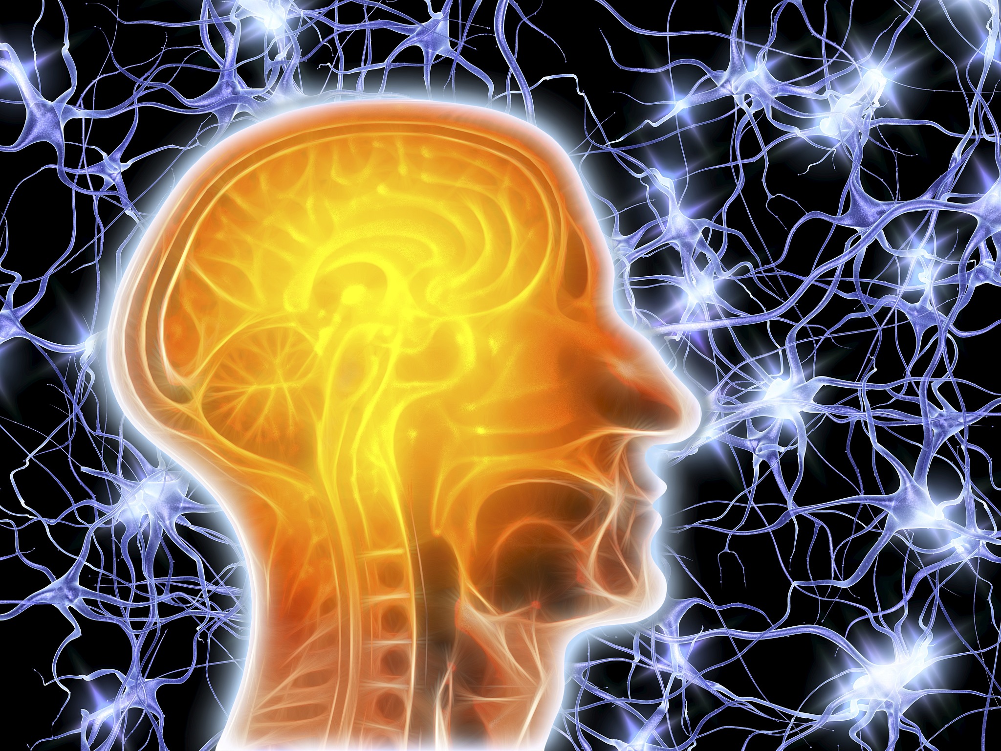 大脑突然受刺激？了解大脑反应的真相