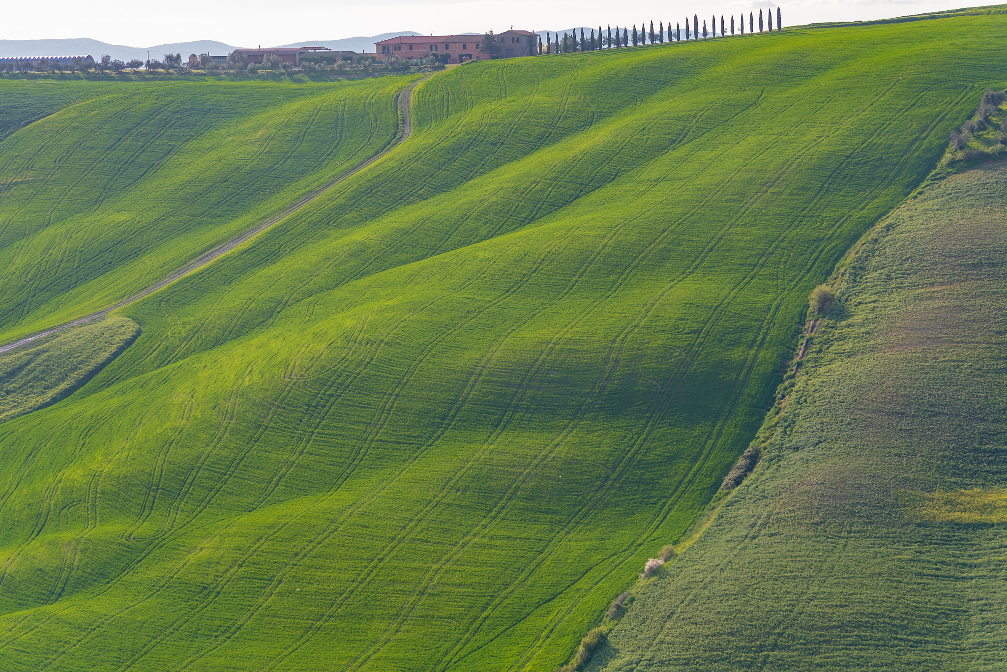 high angle view of agricultural field