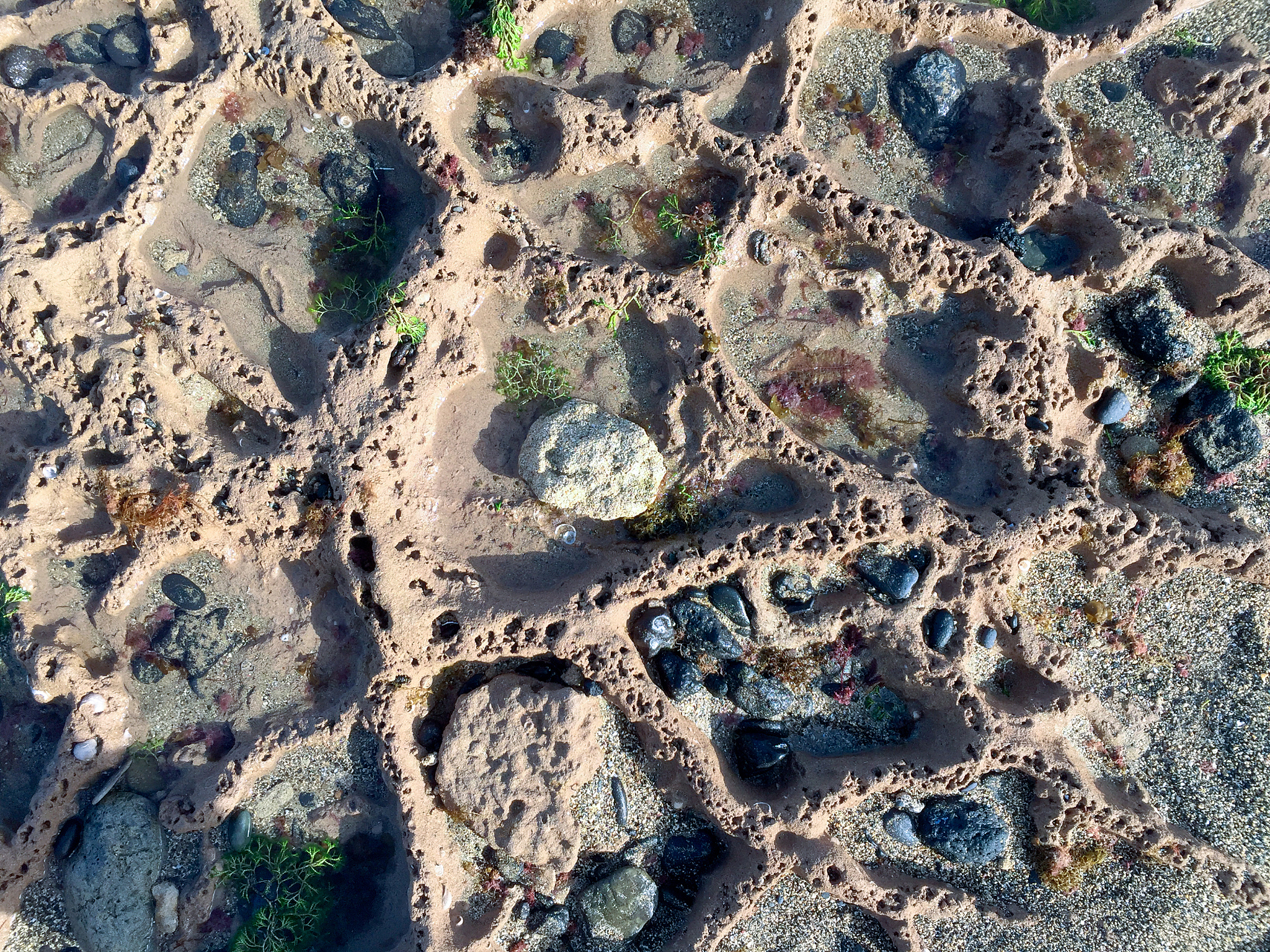 请按照nature发文标准润色下面这句话包括语言逻辑：Soil structure aggregates capillary porosity and other soil physical properties could improve plant nutrient effectiveness as well as plant growth Dai et al 2020