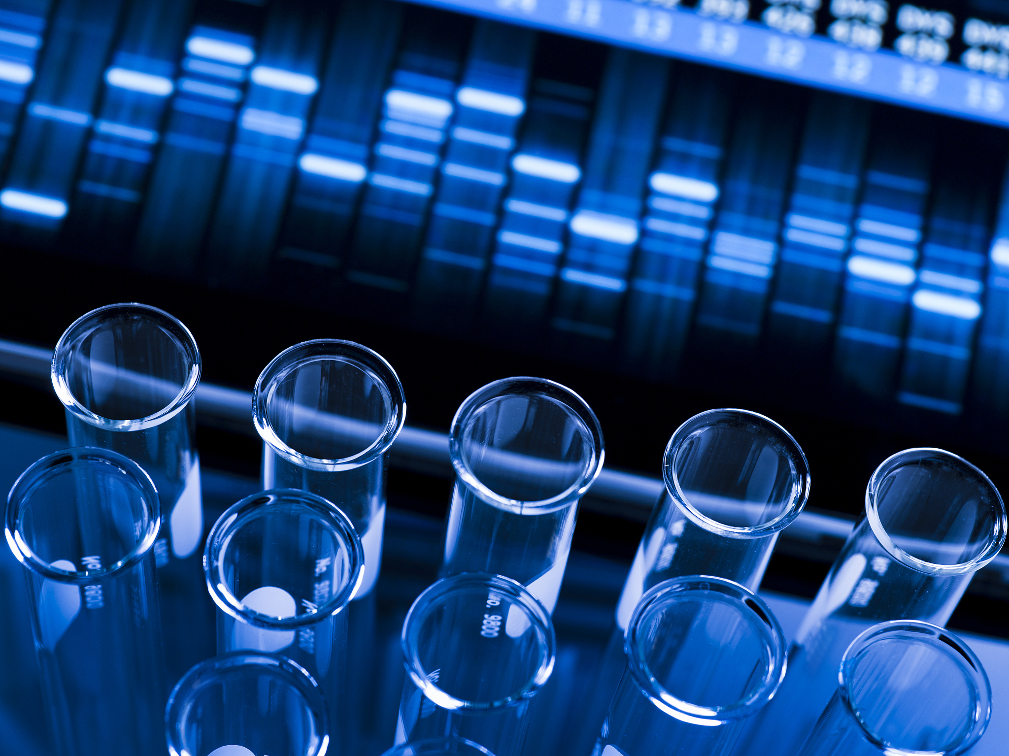 字数不超过200字文章结合端午节习俗来宣传小小公司的病理学普鲁士蓝染色业务
