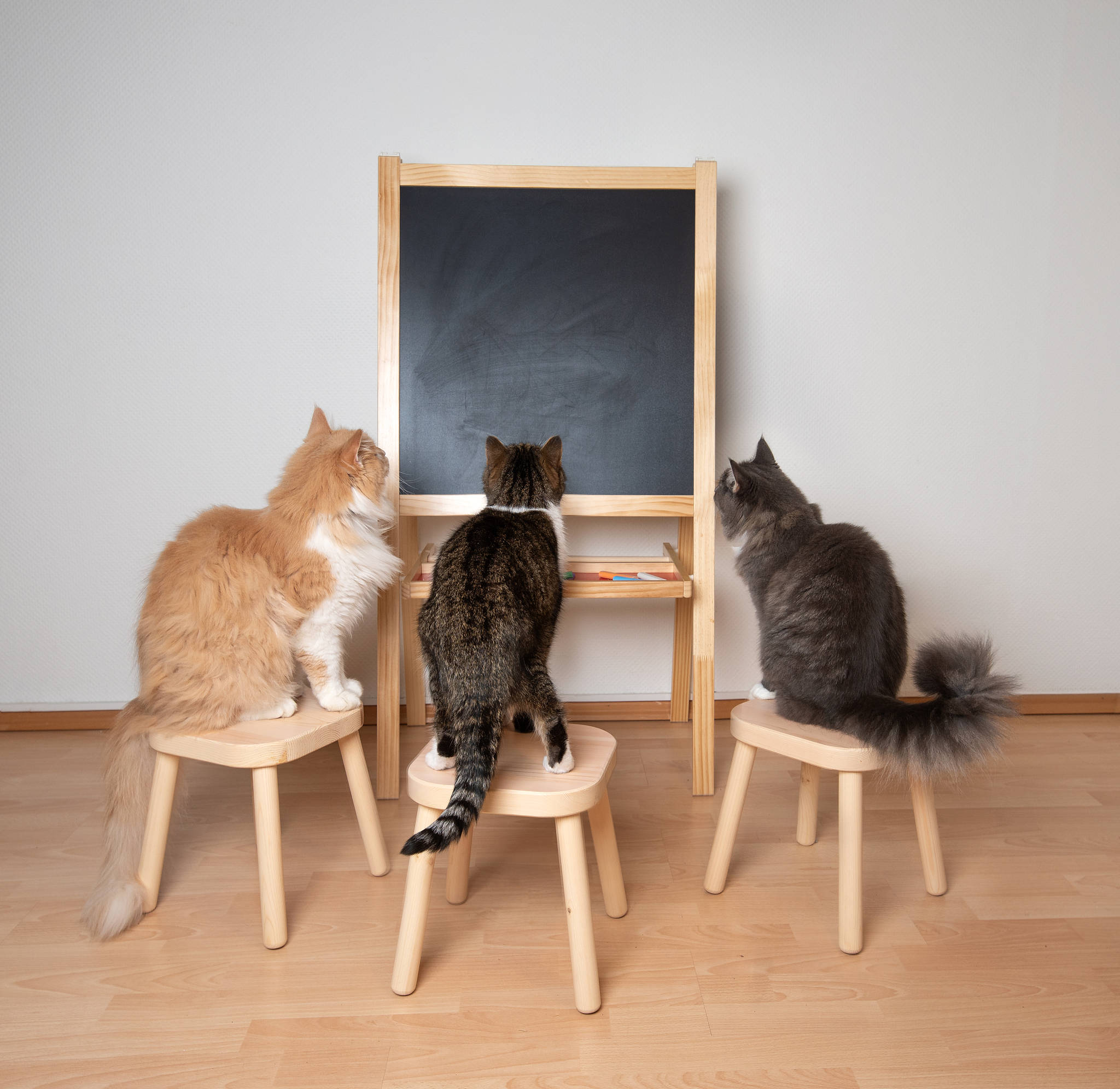 Cat Tree 5-Piece Set: The Ultimate Play, Rest & Scratching Haven for Your Feline Friend