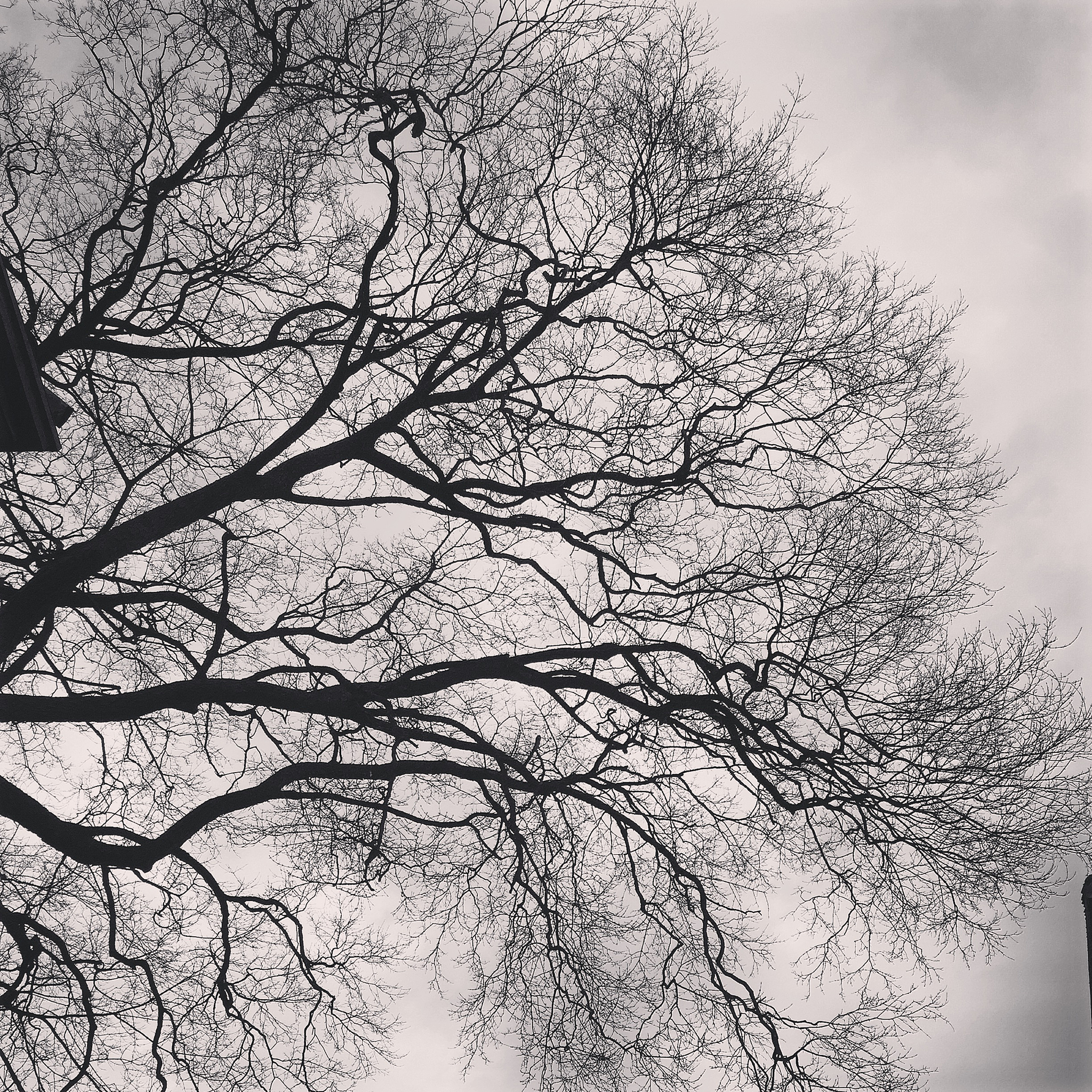 杭州出发游览湖州南浔和无锡宜兴最优路线