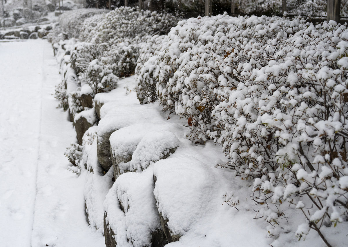 湖北咸宁清明节下过雪吗回答加拓展。