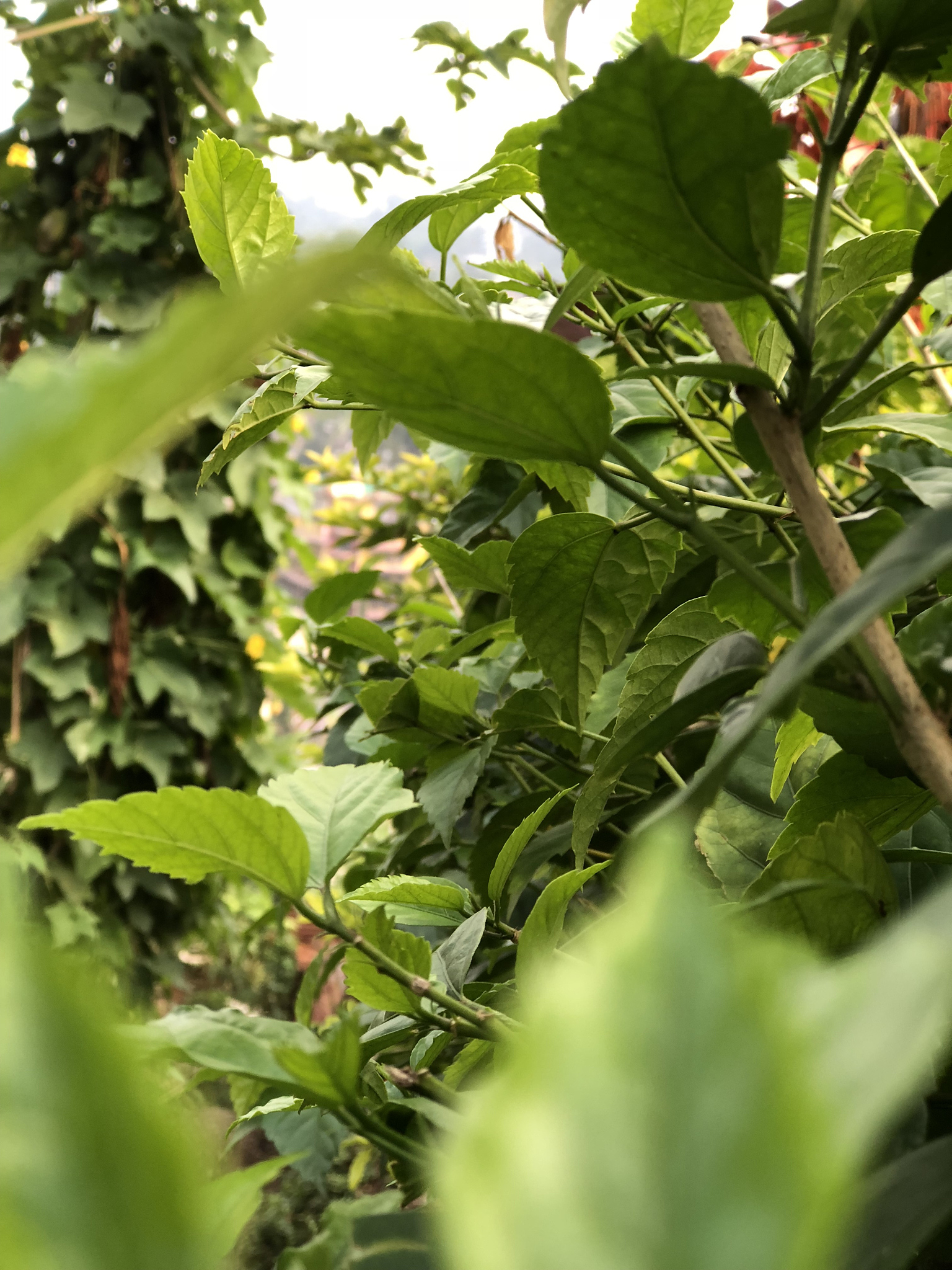 一方水土养一方人