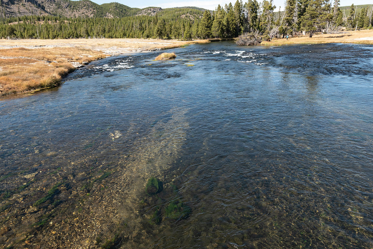湖北生物科技职业学院有药剂专业吗？五年制大专专业介绍