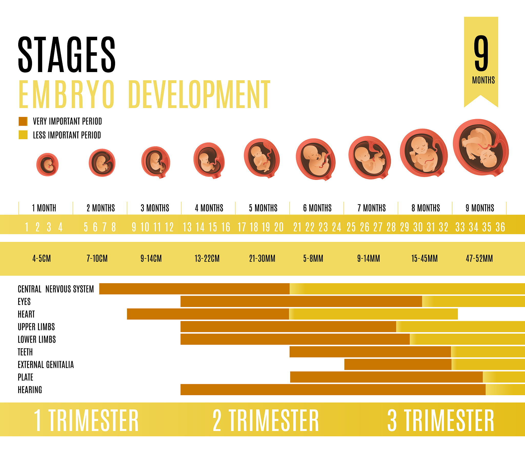食物与营养素摄入量追踪：所需天数因人而异