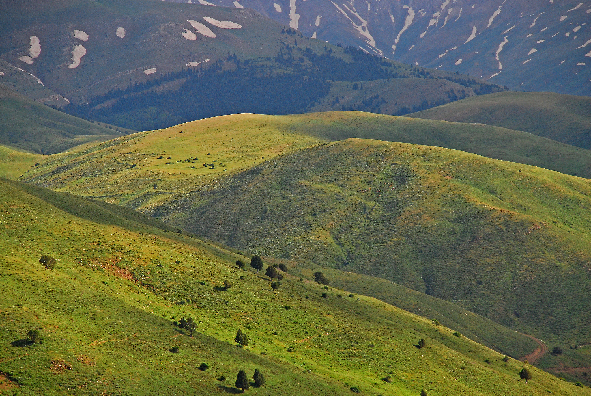 mountains