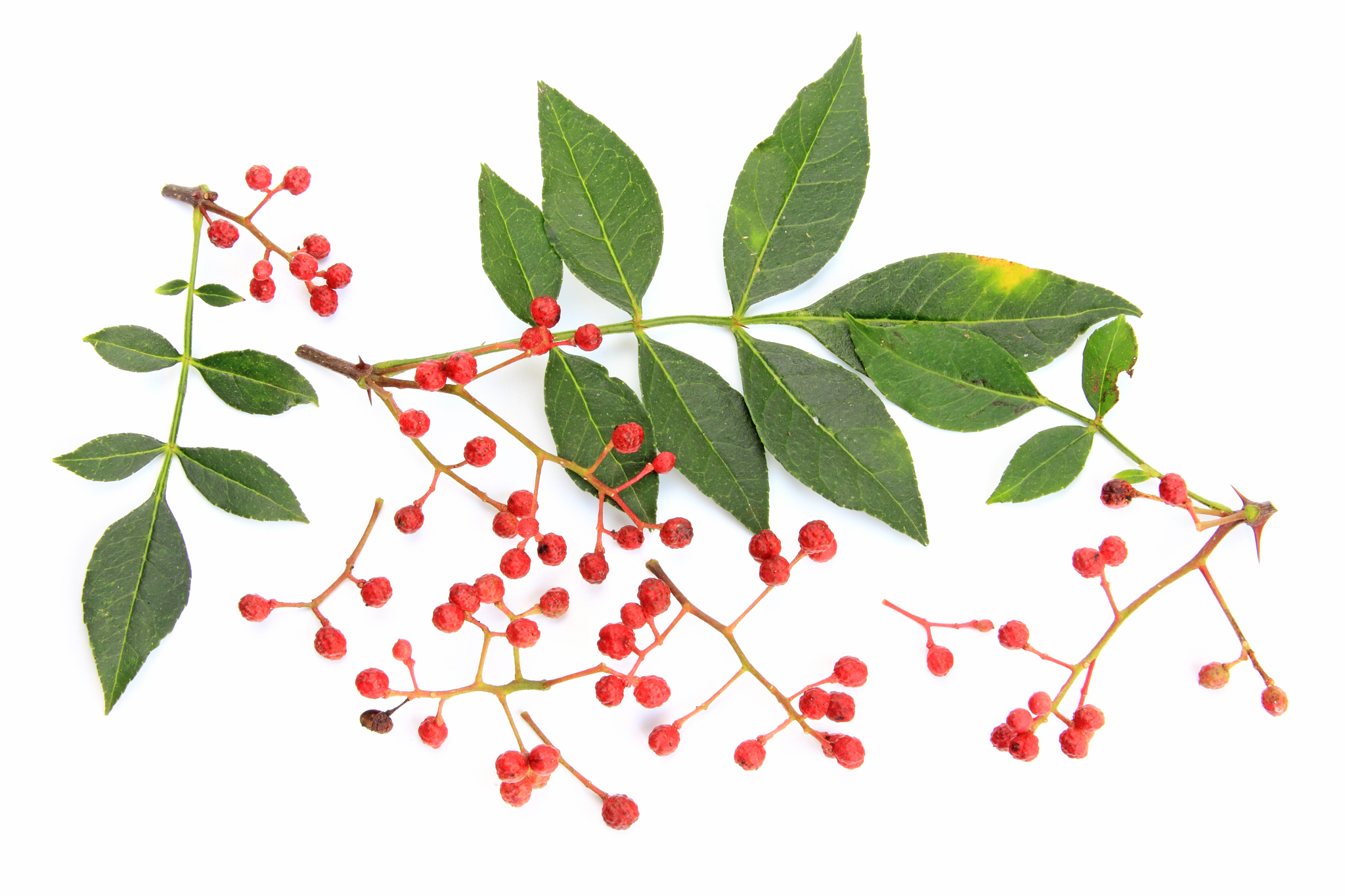 四川医药营销专业大学排名及就业前景分析