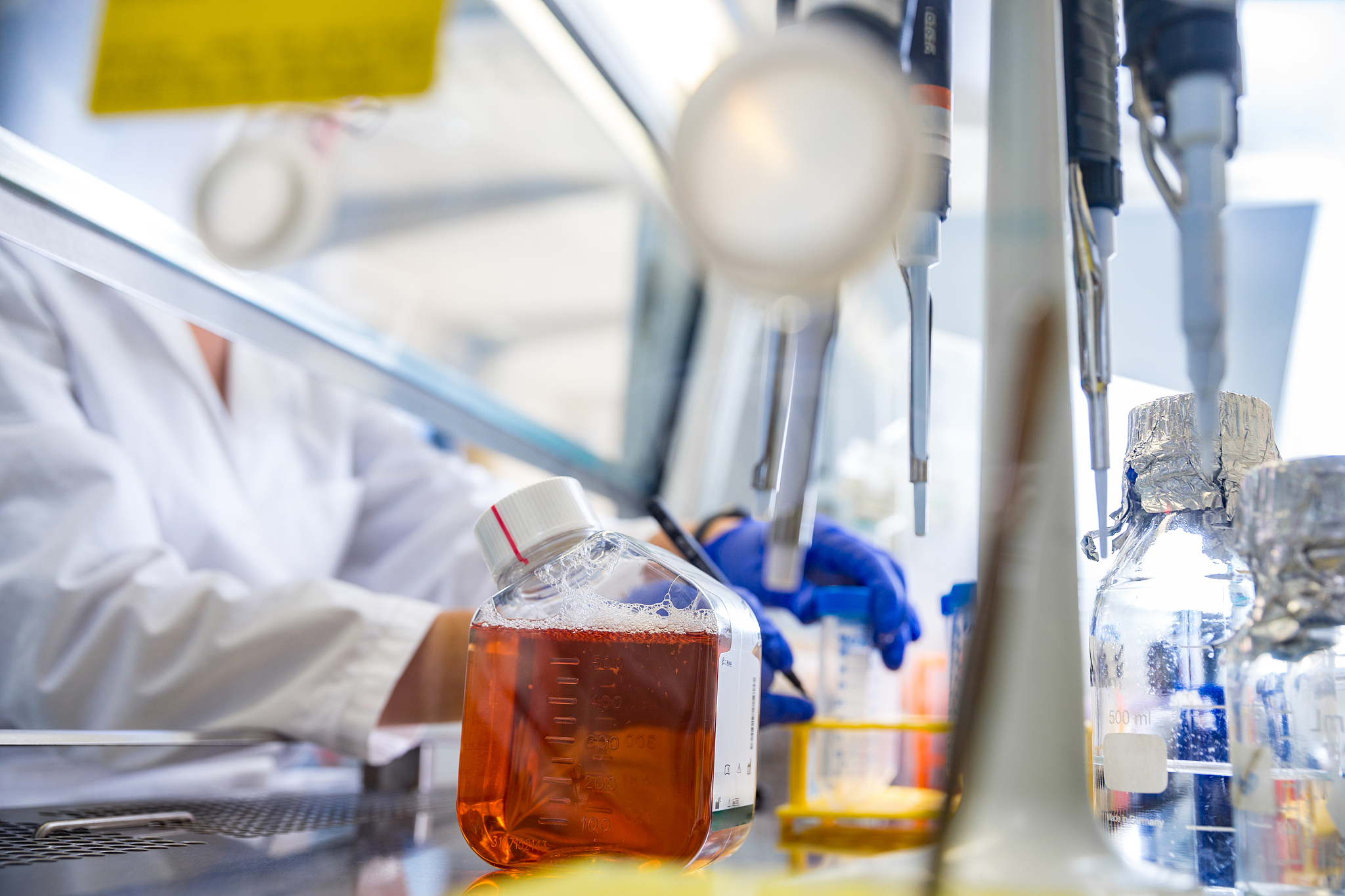 实验室紧急情况应对指南：安全措施与应急预案