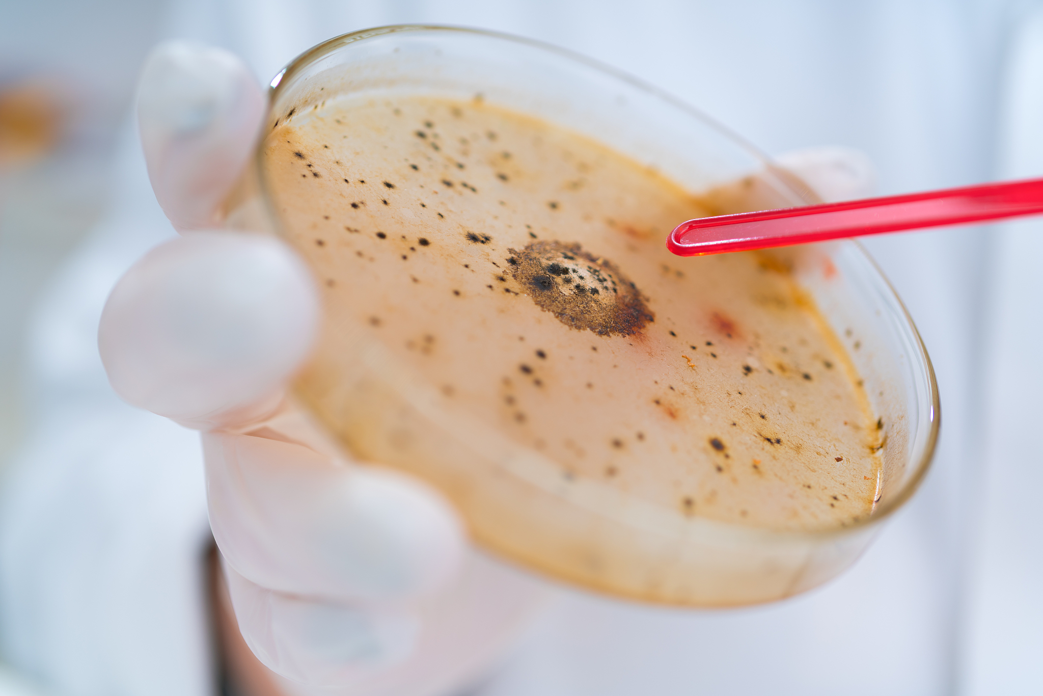 华东理工大学食品质量与安全专业怎么样