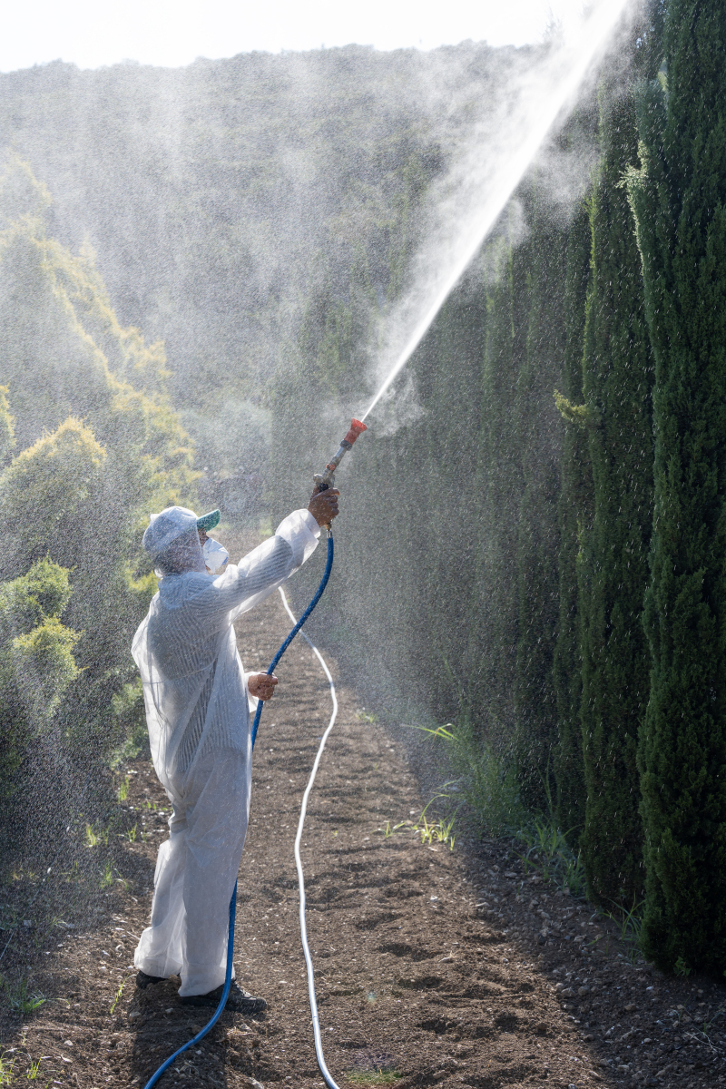 喷壶喷不出雾？水柱喷射？3个原因帮你解决！