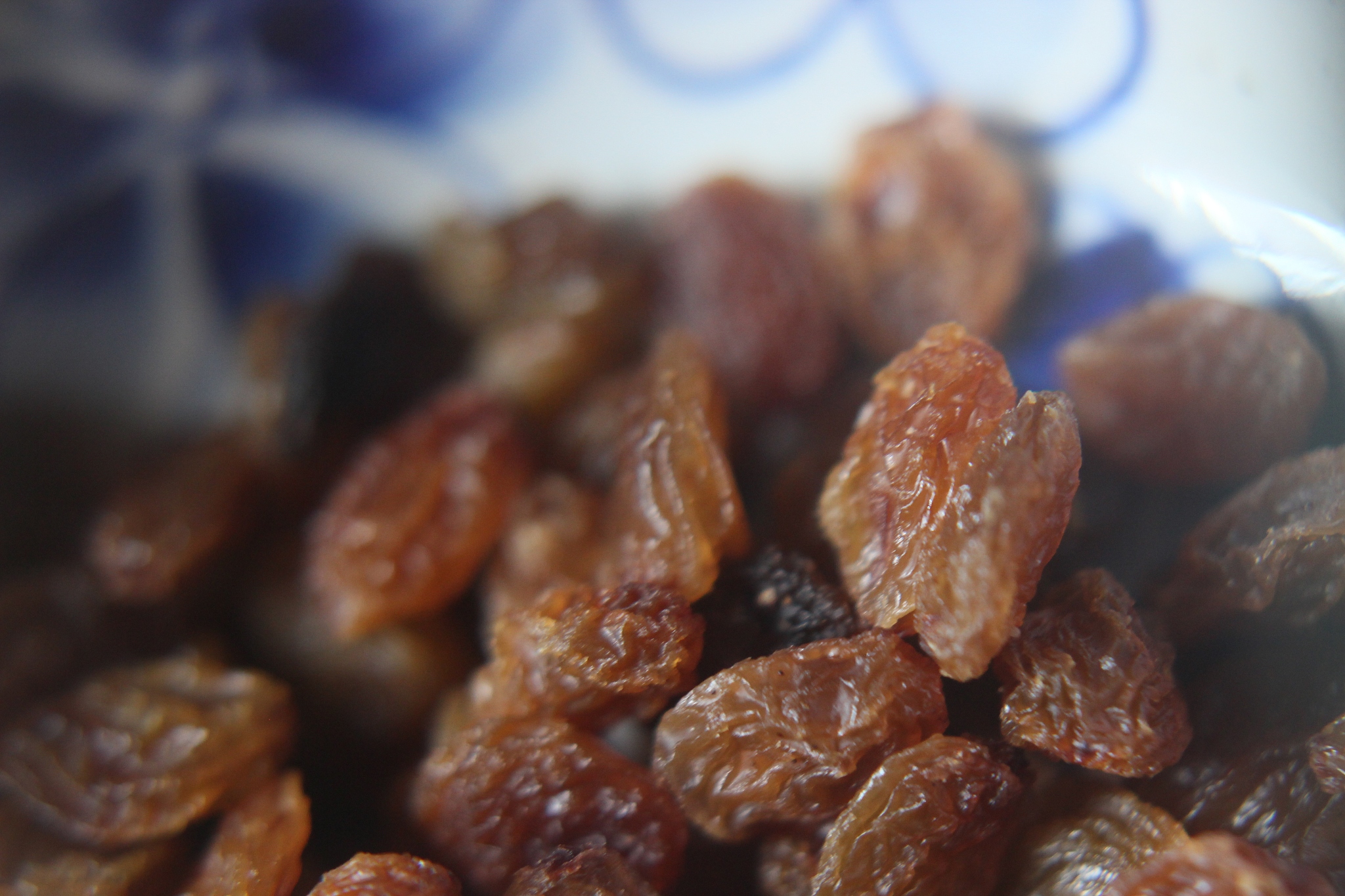 dry raisins