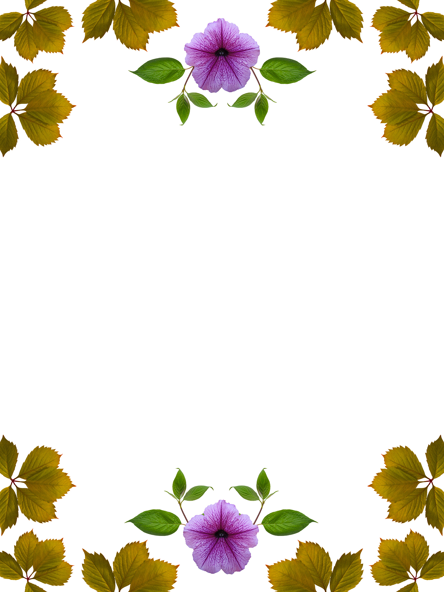 哪里可以找到不露脸的美女素材？