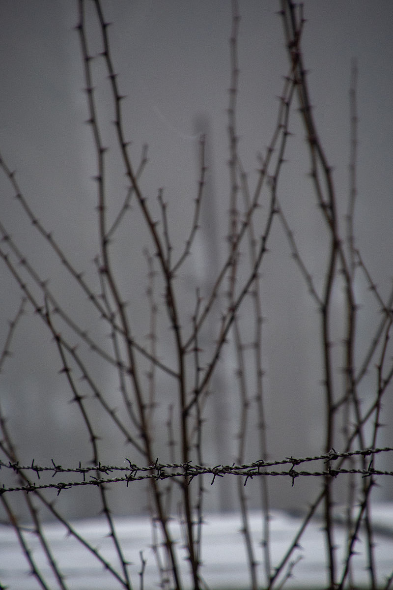 开放性腹部损伤失血性休克患者护理问题及建议