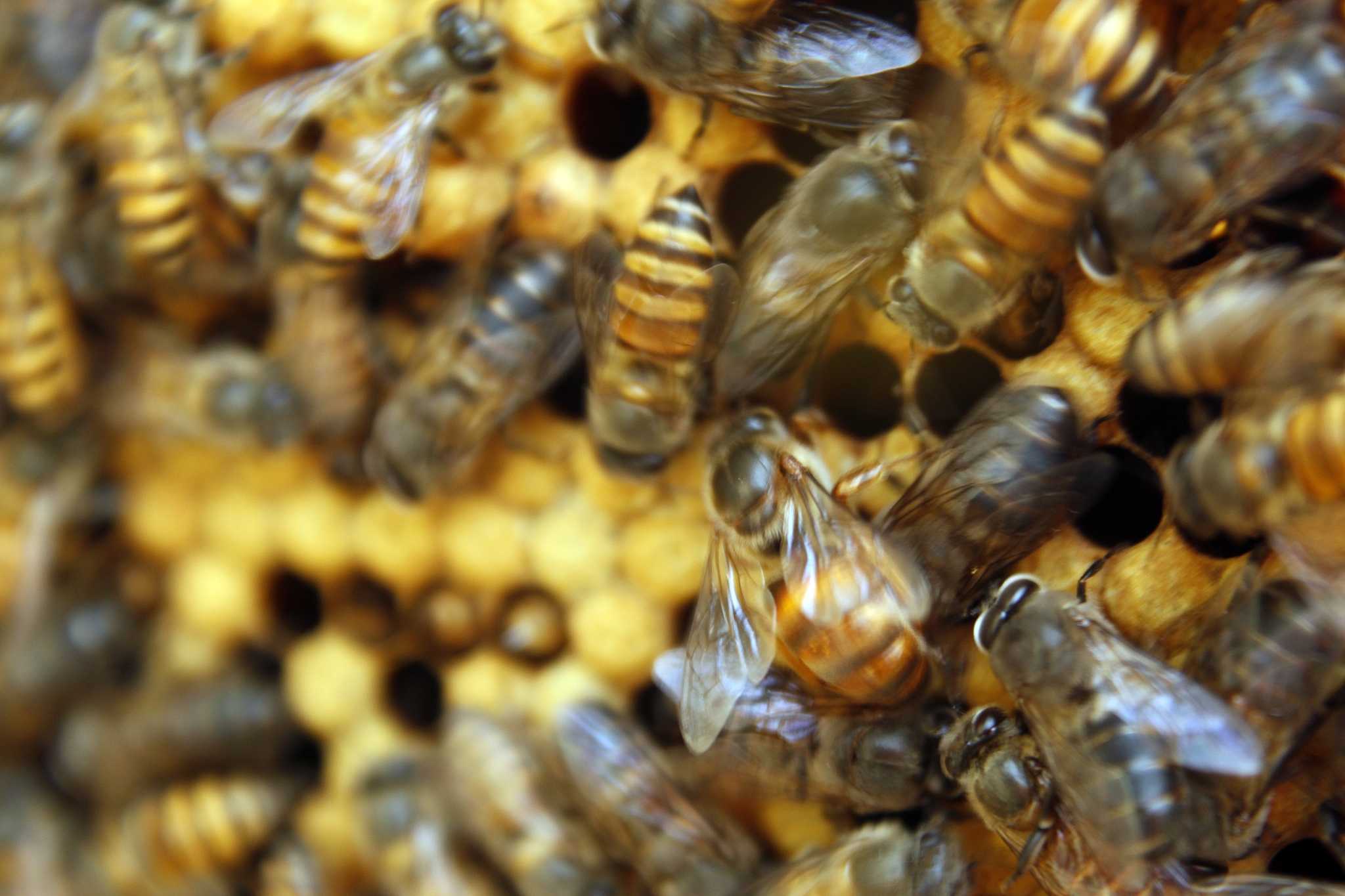 福建农业职业技术学院食品生物技术专业优势怎么样发展前景好不好呢