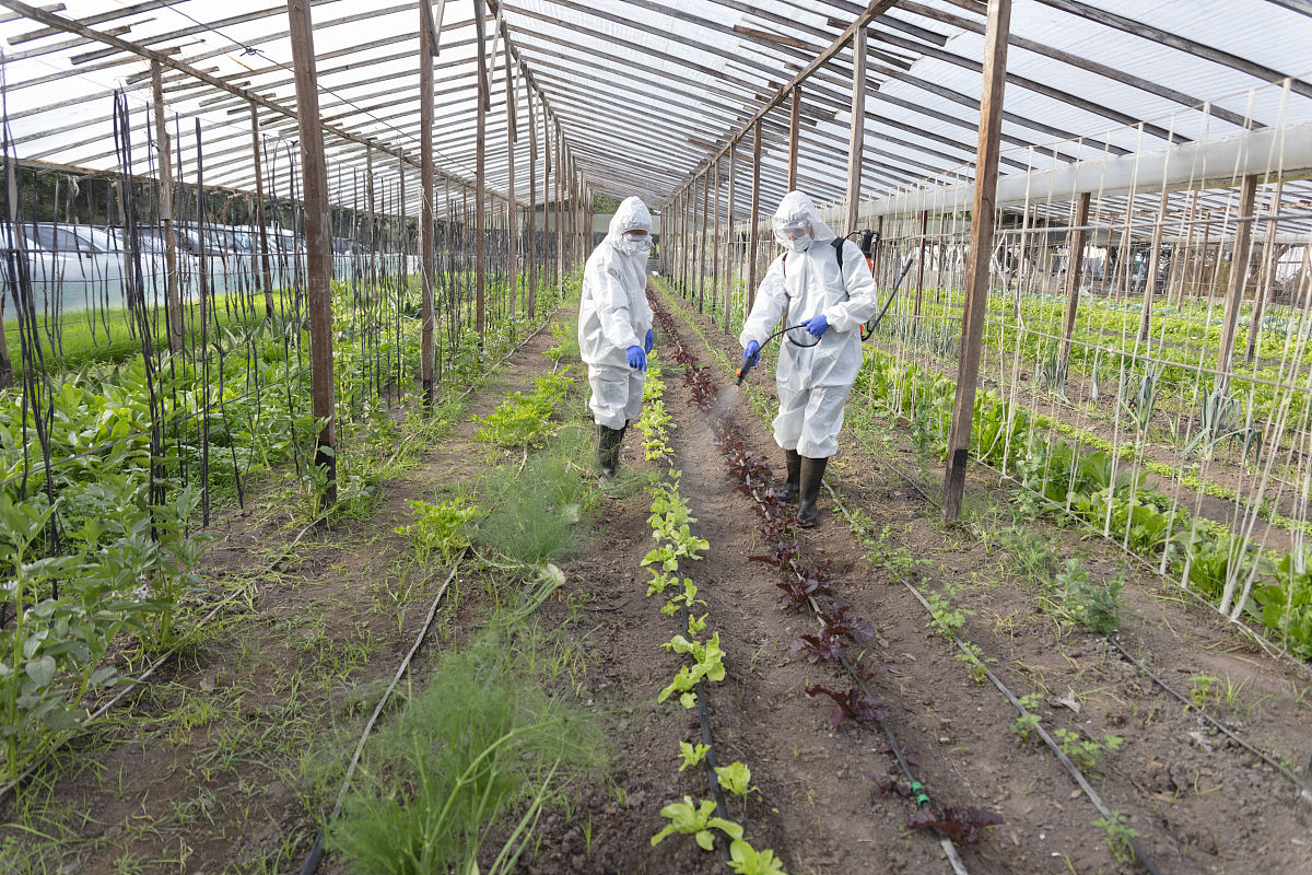 宣城市信息工程学校2023年招生电话 - 联系方式及招生详情