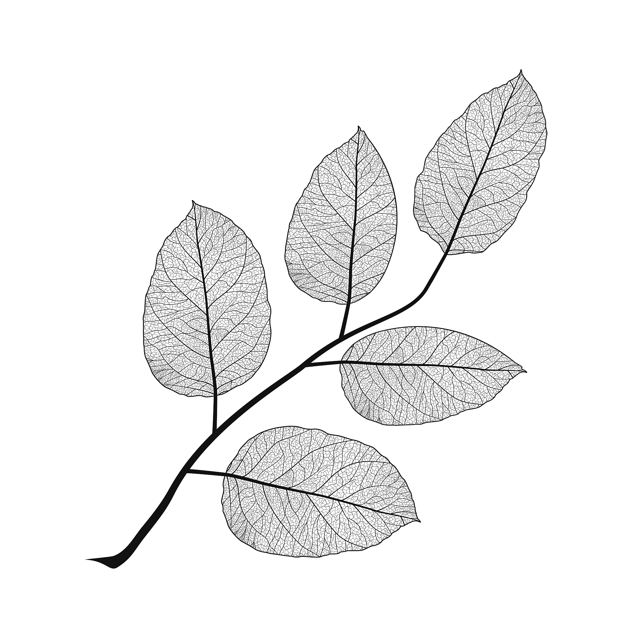 植物叶片防止水分蒸发实训报告 - 自然地理学主题