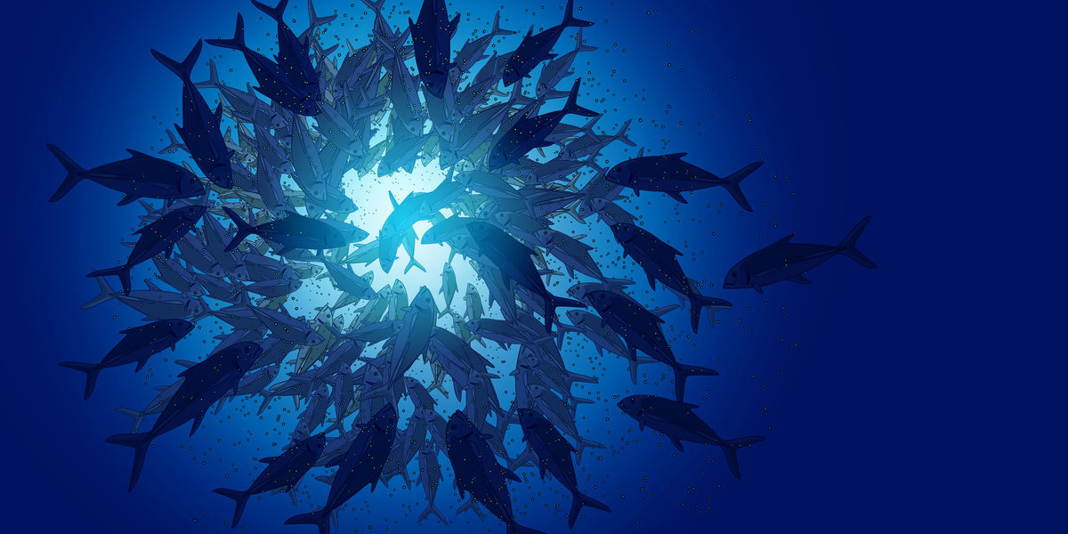 土壤贮水量、有效水贮量和最大有效水储量计算 - 以50cm土层为例