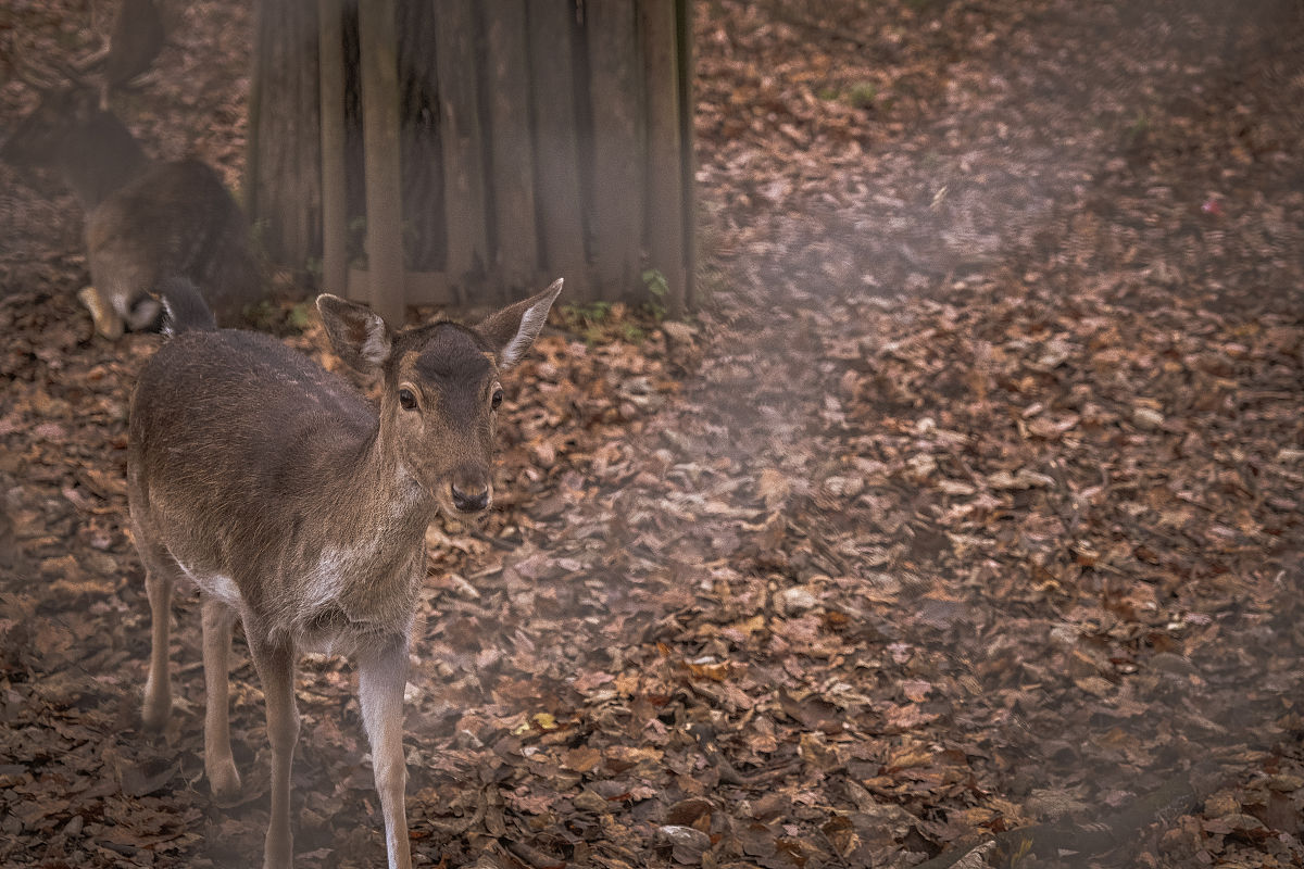 山西农业大学招生专业有哪些有旅游管理专业吗