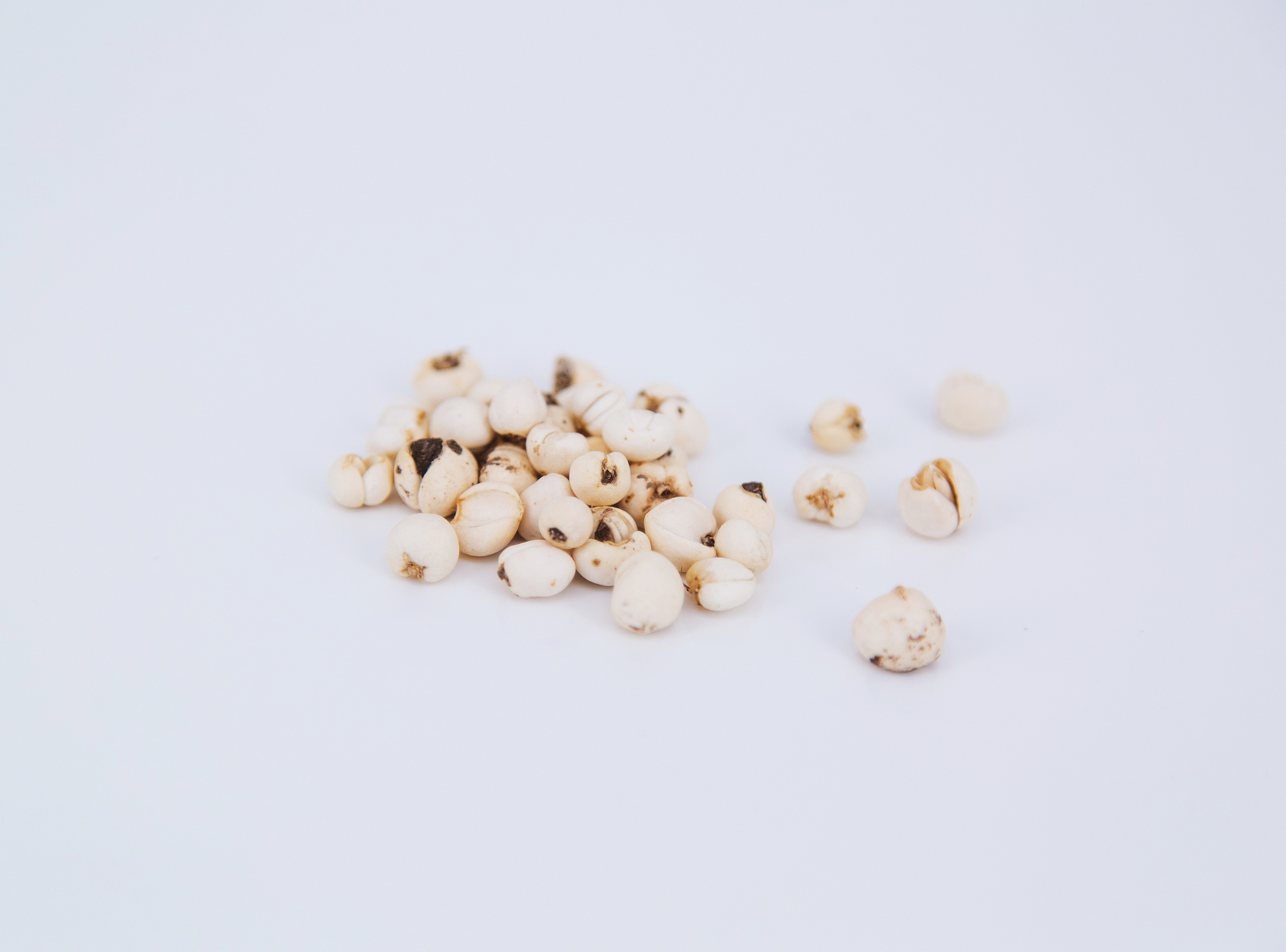 为什么川贝母以质坚实粉性足、色白者为佳