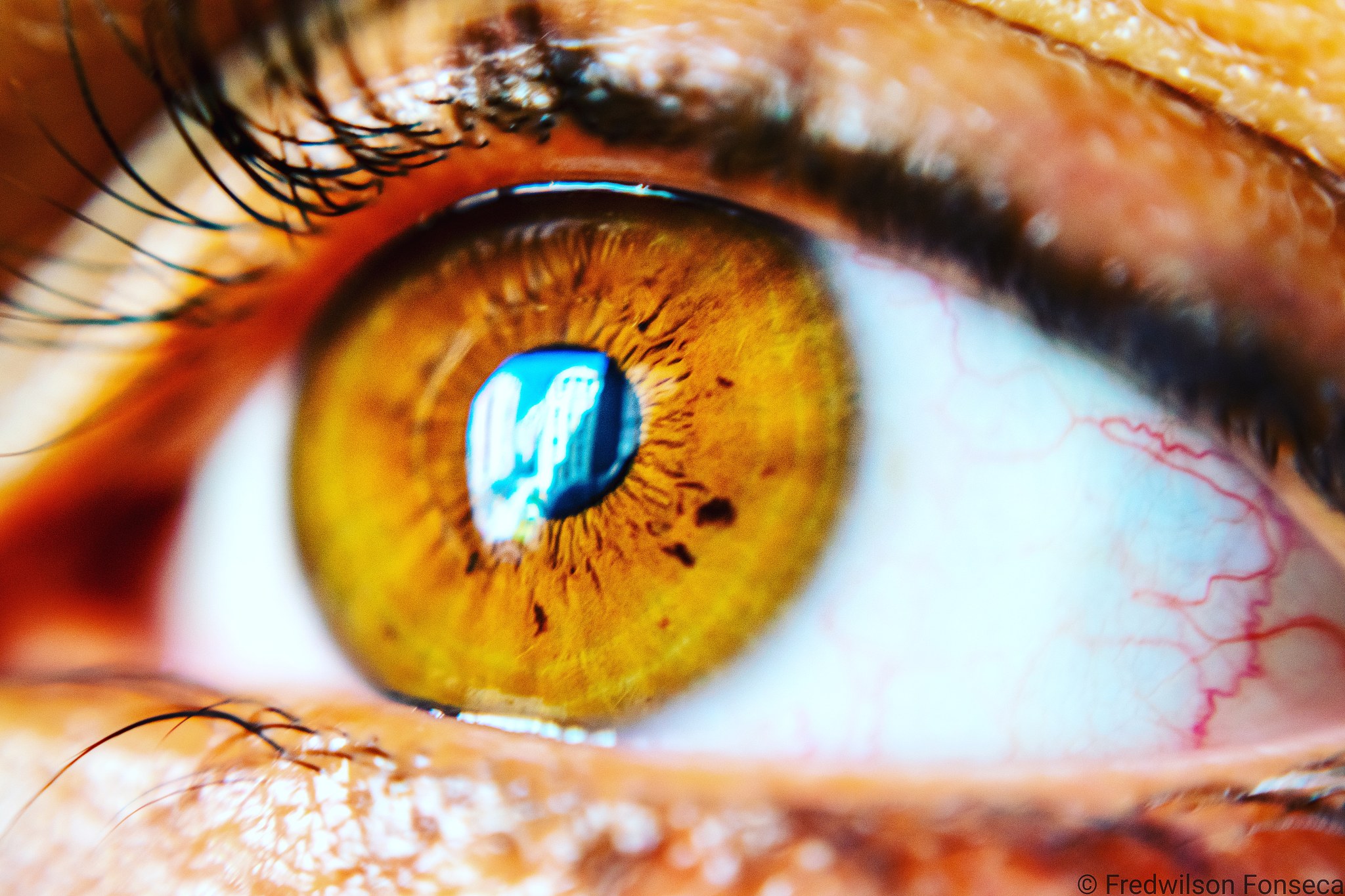 extreme close-up of human eye