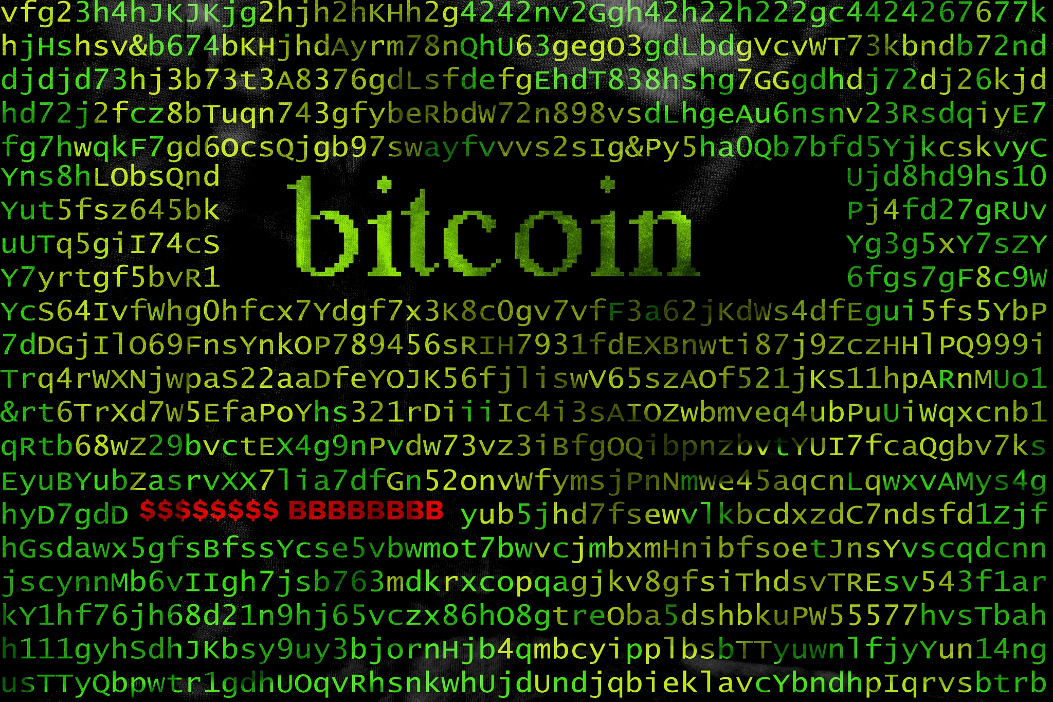 bitcoin. the world phenomenon.