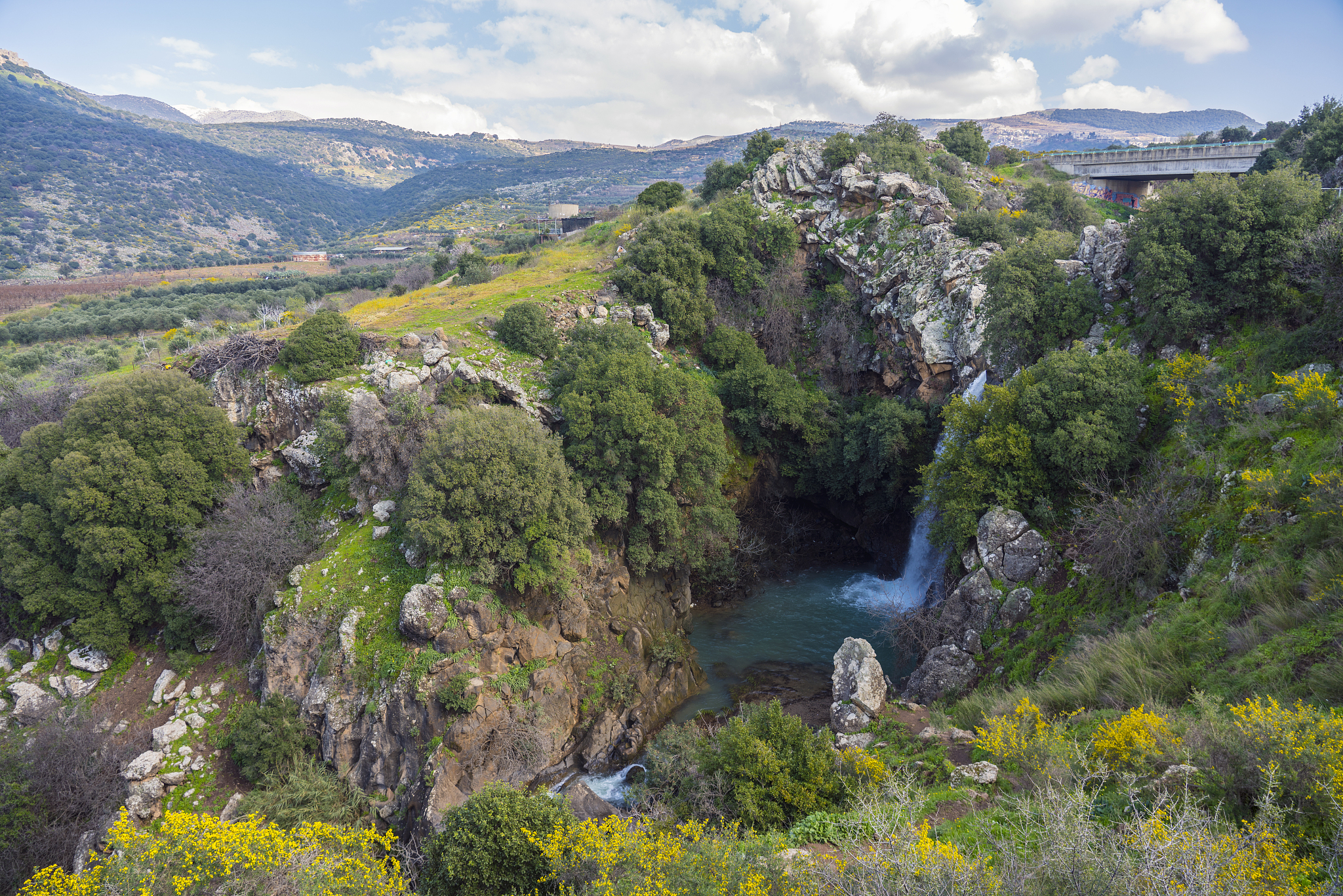 你好介绍一下 los cerrillos