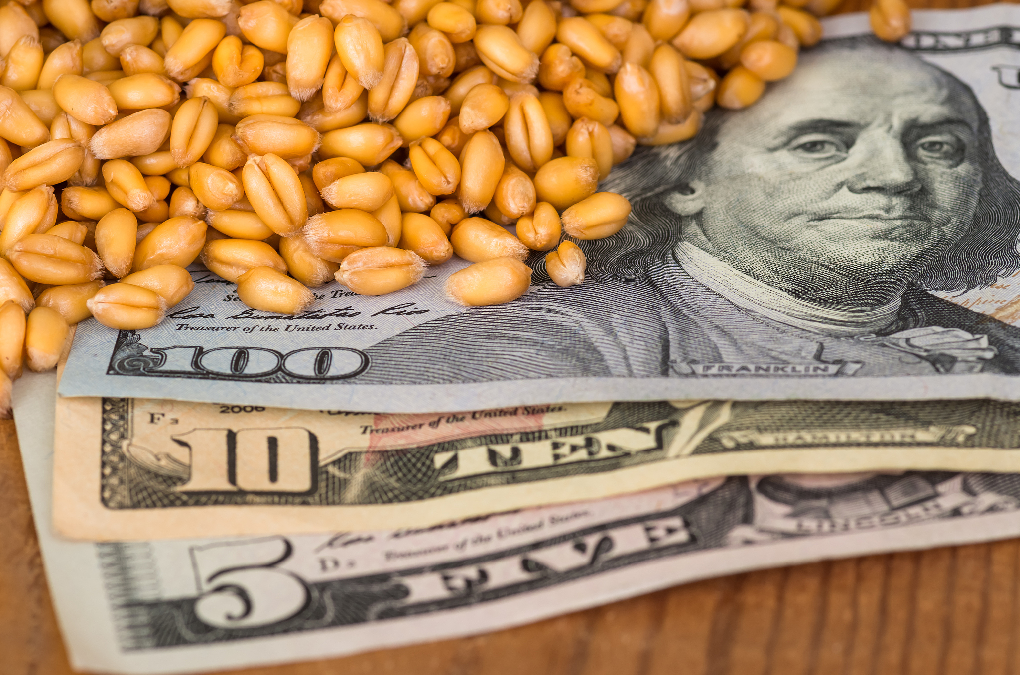 wheat grains on dollar bills