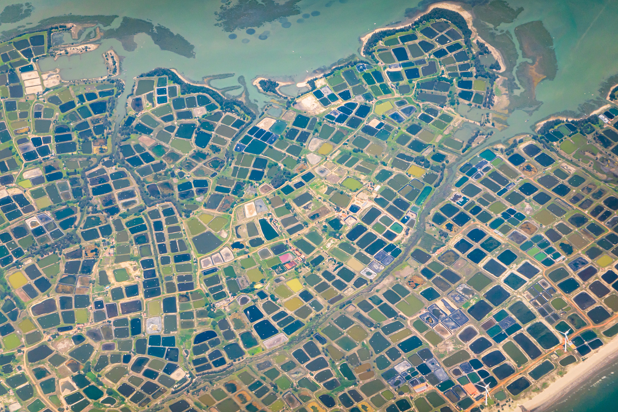 湛江新乡贤参与乡村公共治理：运行机制与实现路径研究