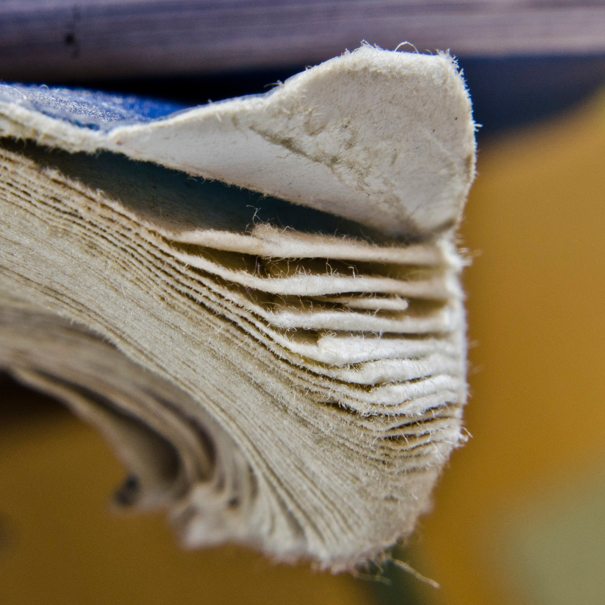 抖音种草爆款！珍宝柔原生木浆洗脸巾，湿用不掉絮，超大尺寸，0添加更安心！