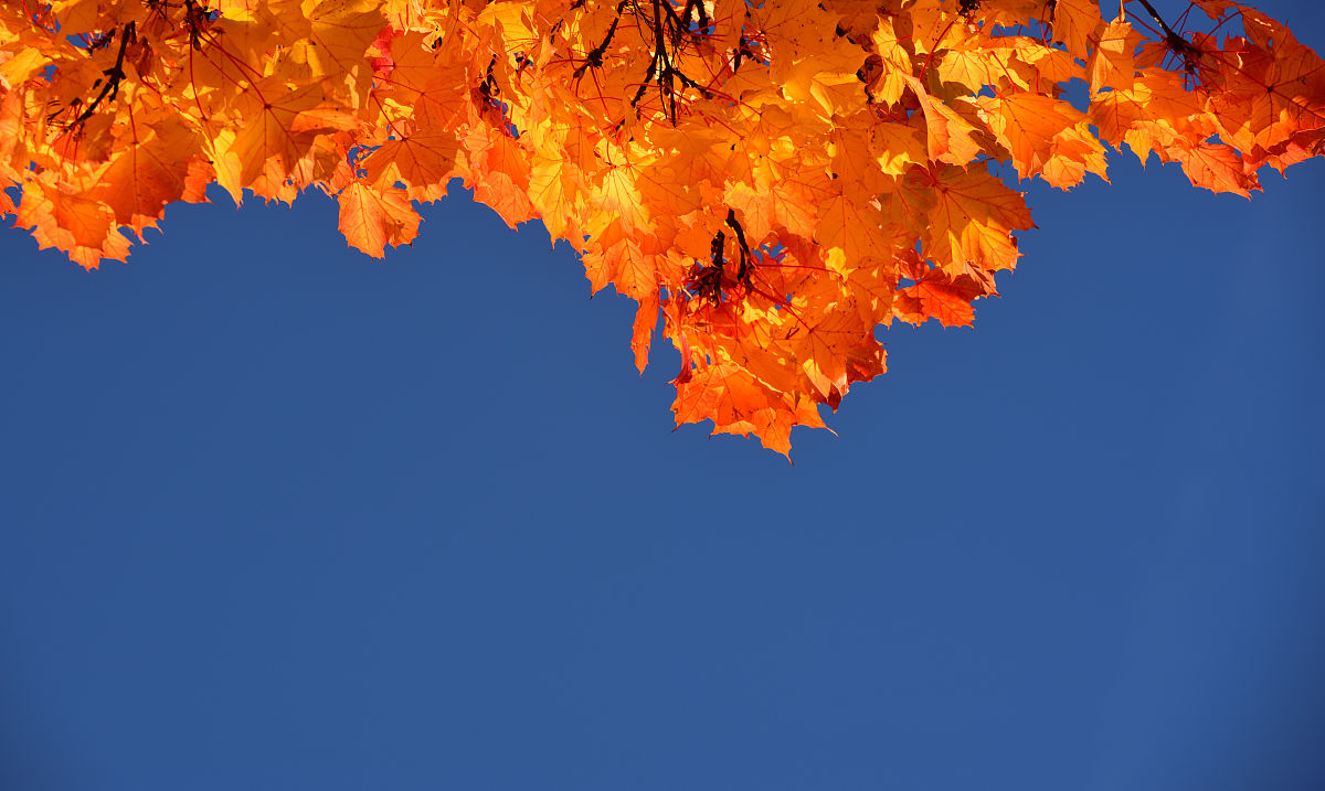 为什么天空是蓝色的？ - 解密天空颜色的秘密