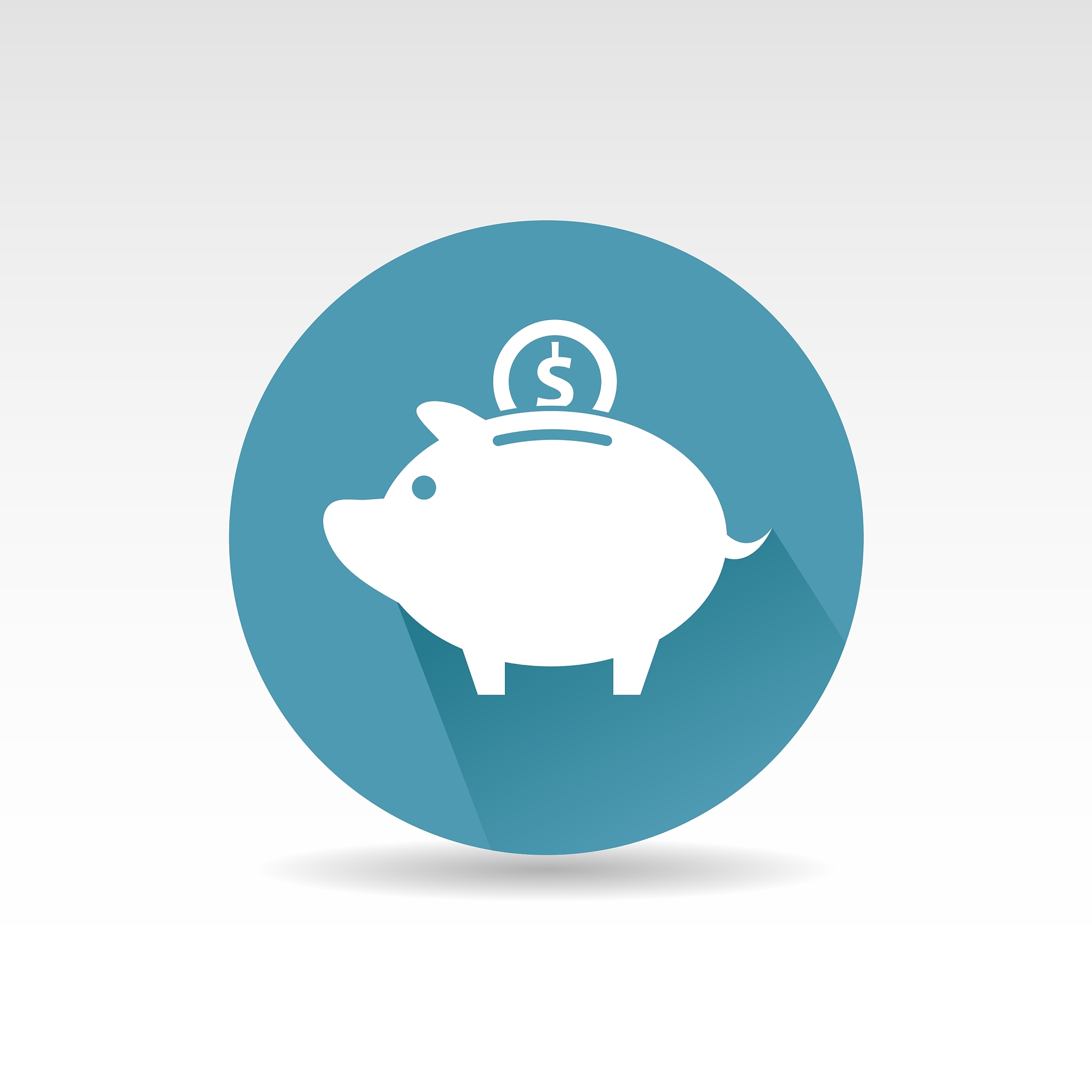 white pig icon flat design