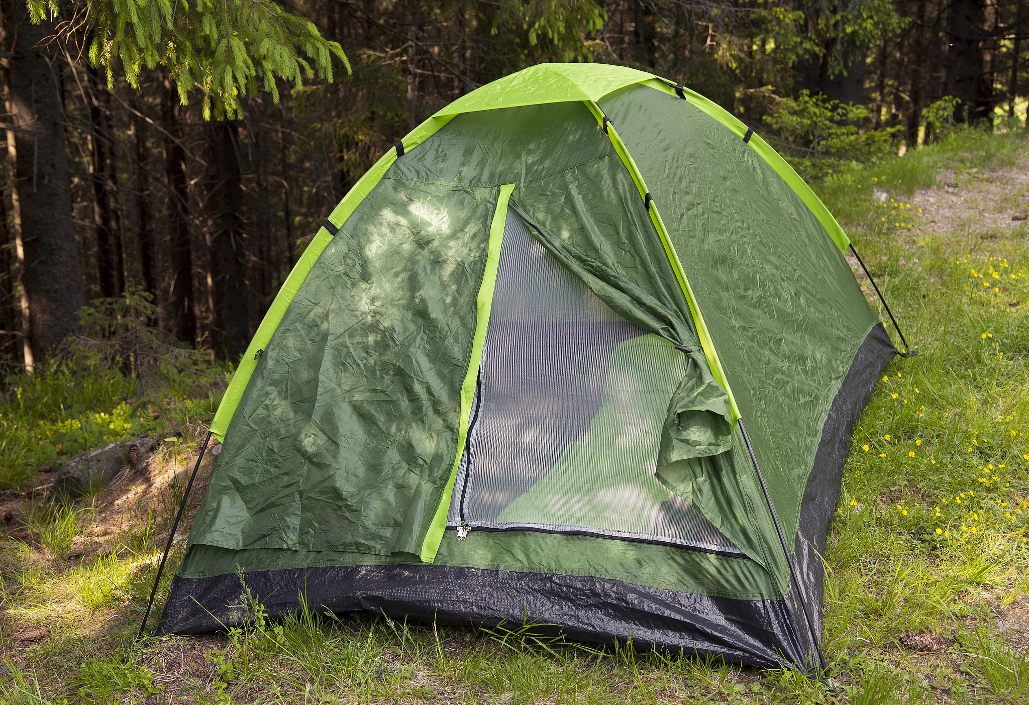tent in the forest