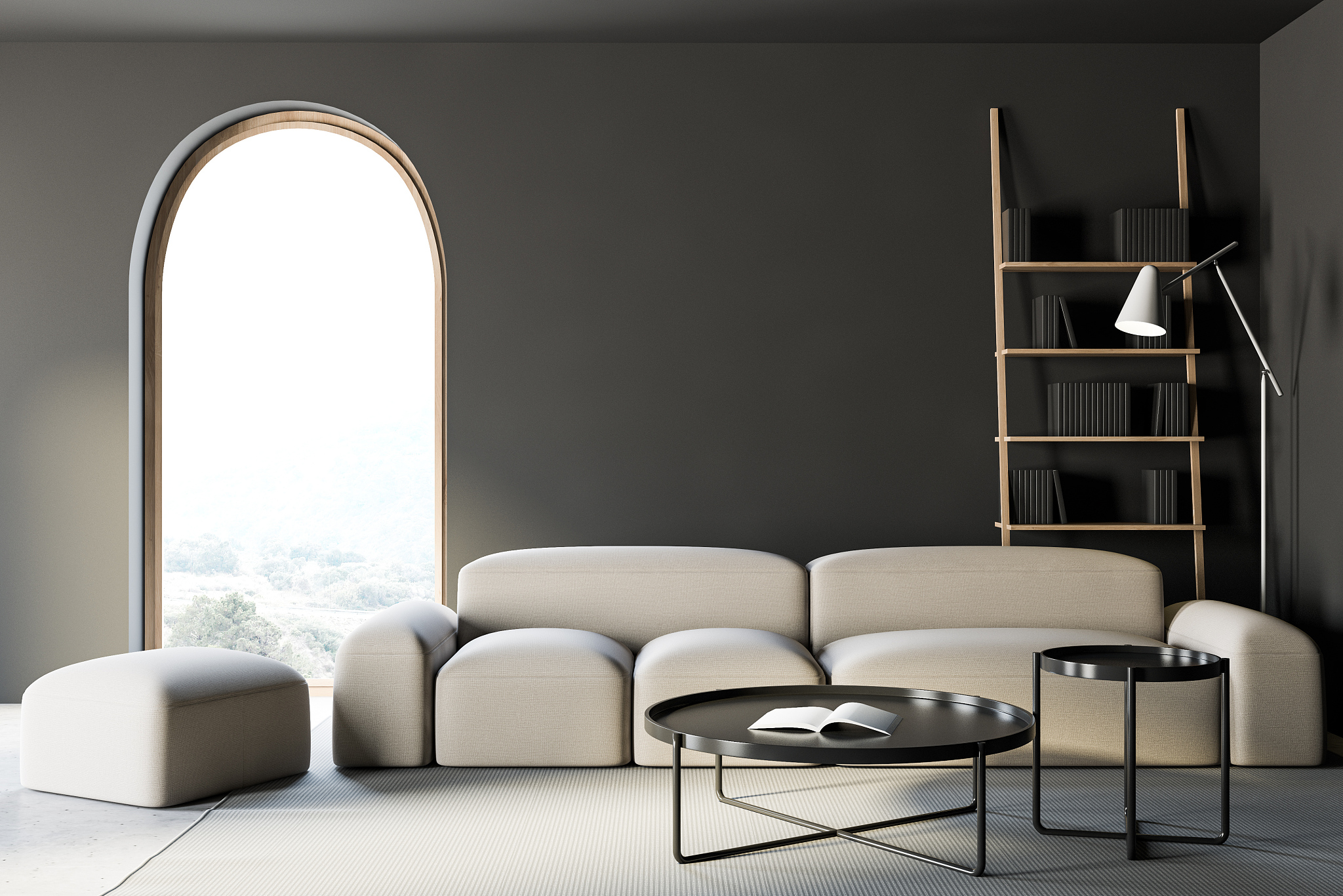 gray living room with sofa and bookcase