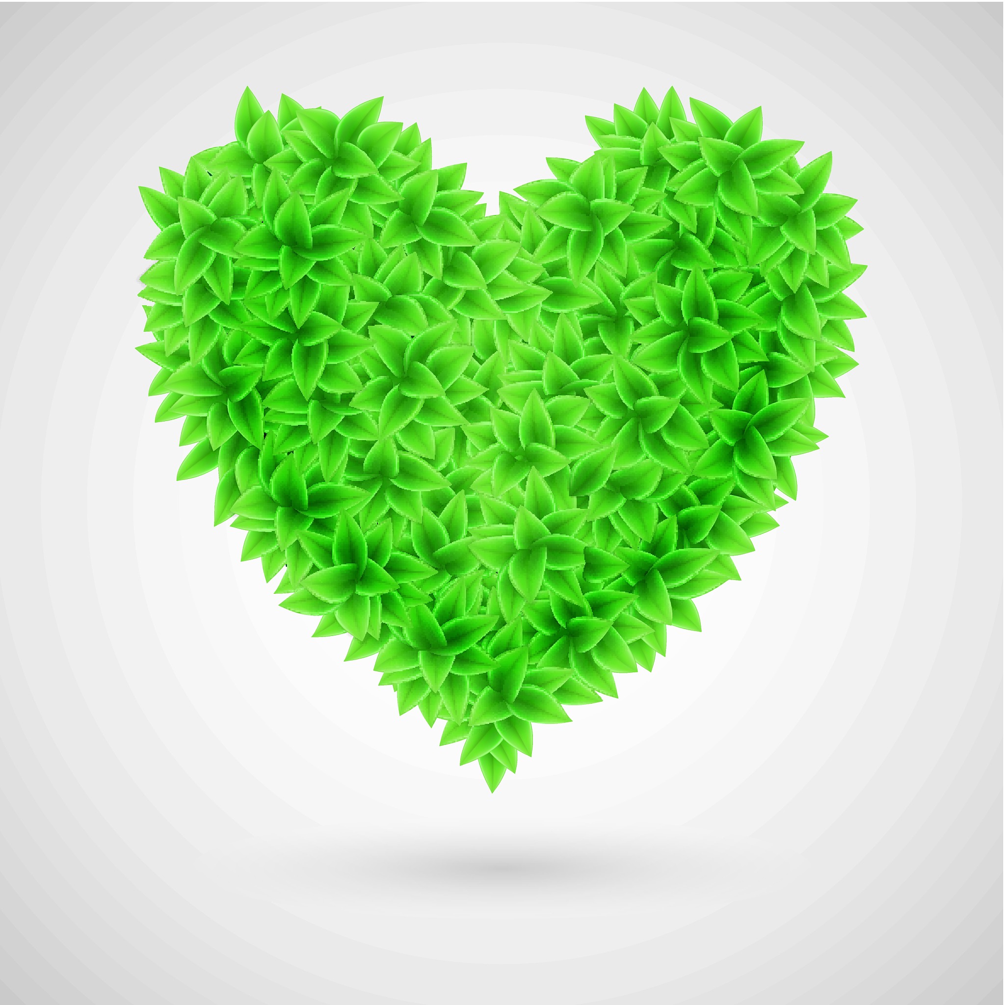 河南农业职业学院植物保护与检疫技术专业课程