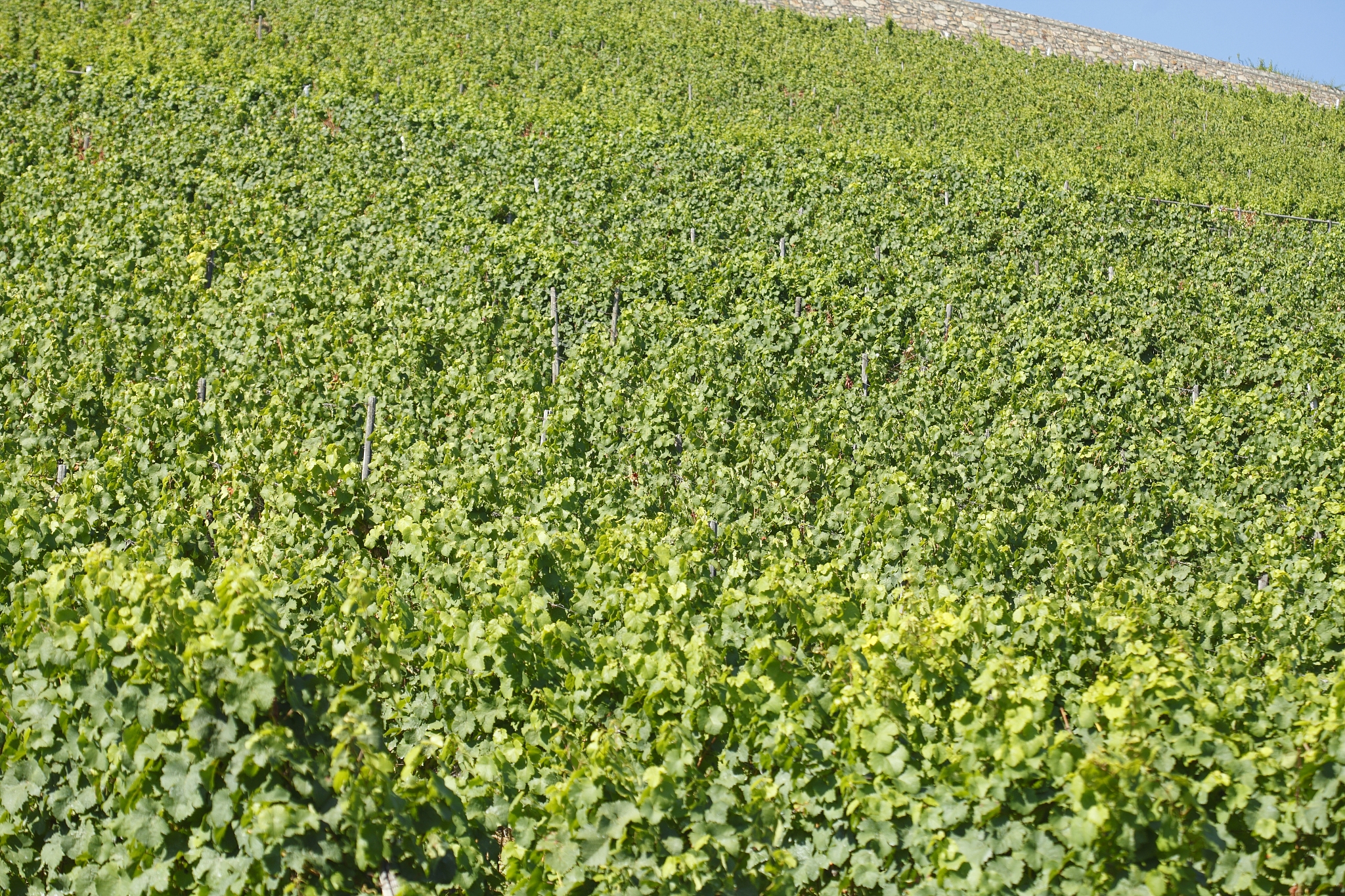 中山火炬开发区理工学校2020招生简章