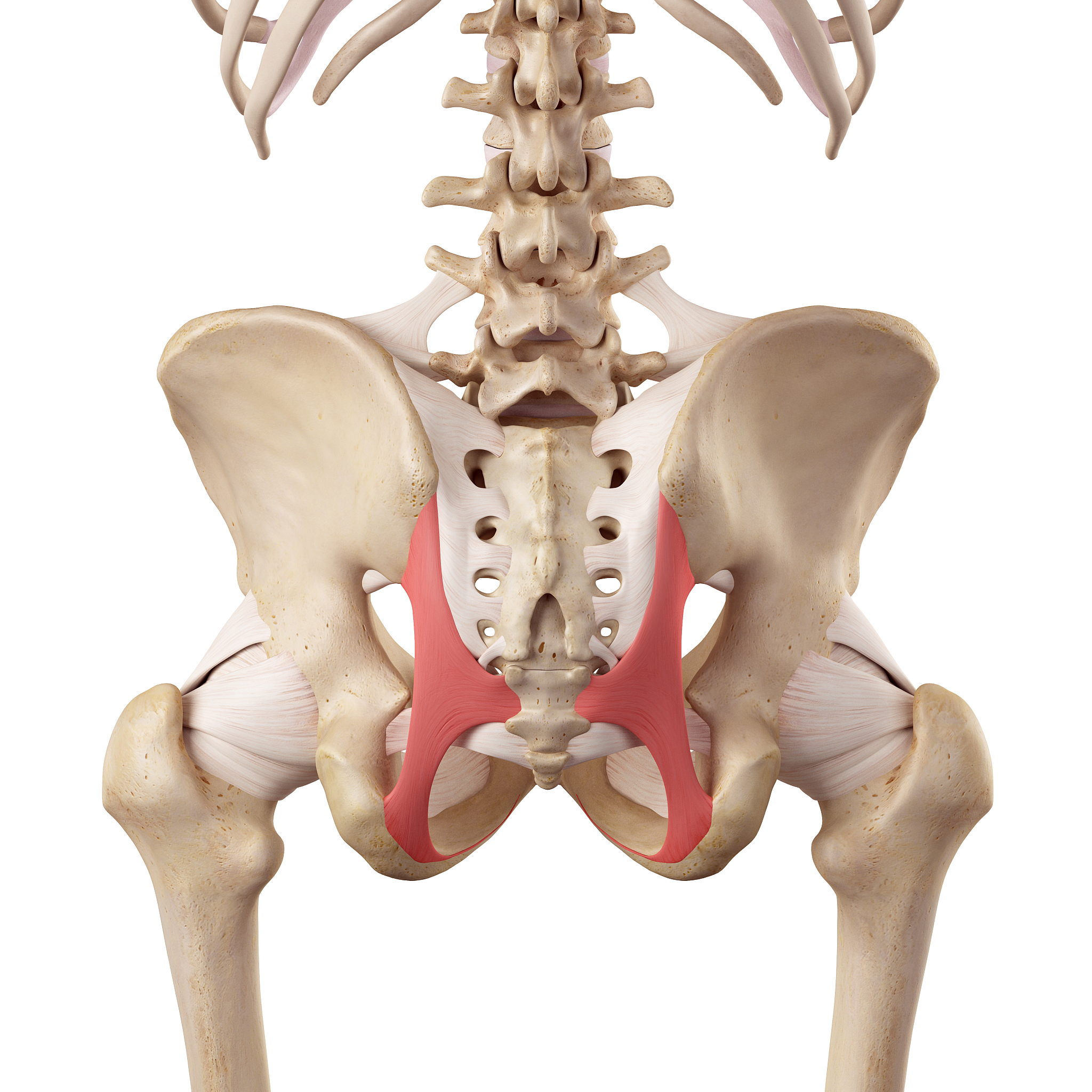 哈尔滨医科大学附属肿瘤医院胸外科主任医师张金峰:肺部疾病诊疗专家 哈尔滨医科大学附属肿瘤医院胸外科主任医师张金峰:肺部疾病诊疗专家