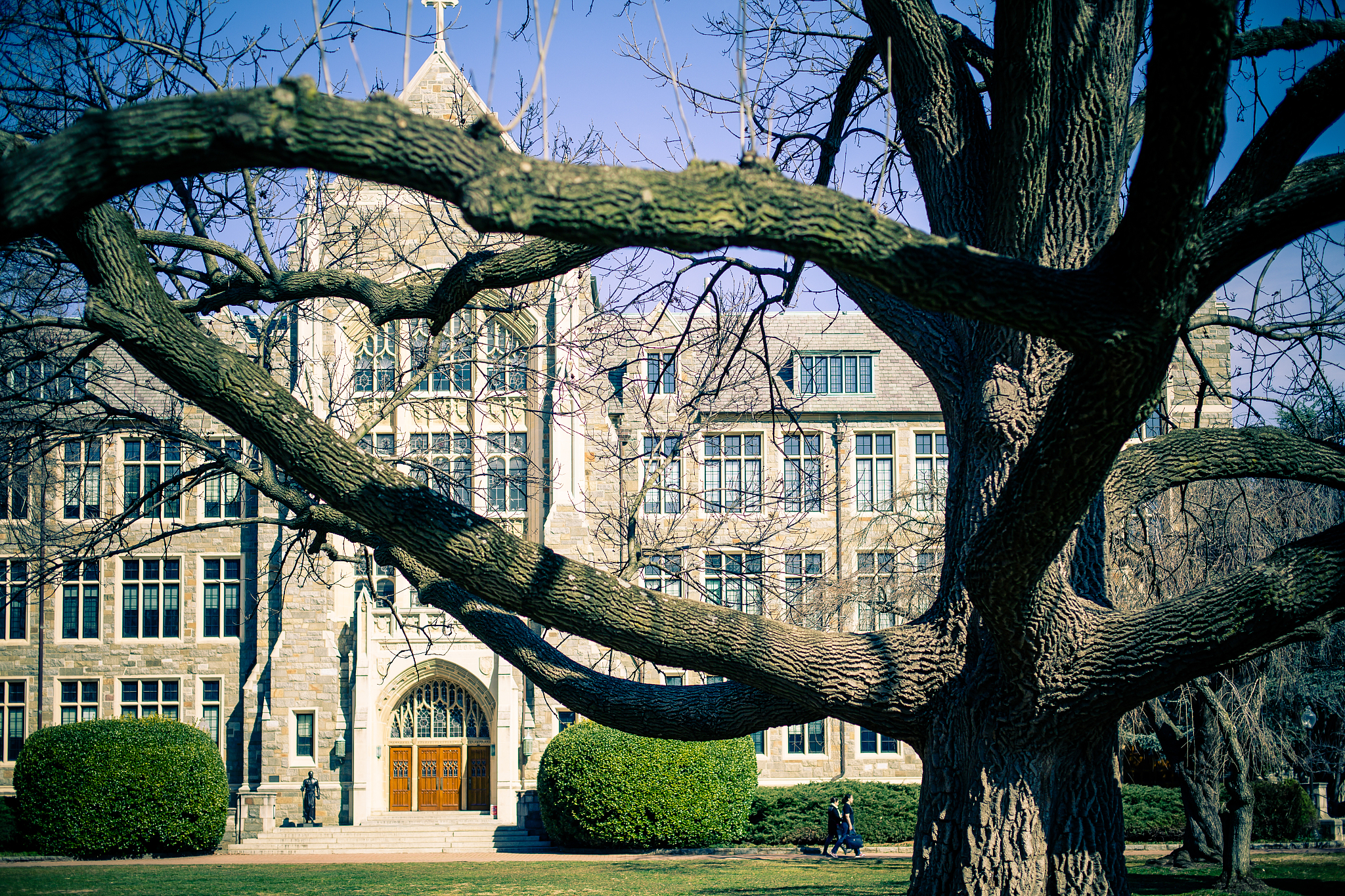 georgetown university