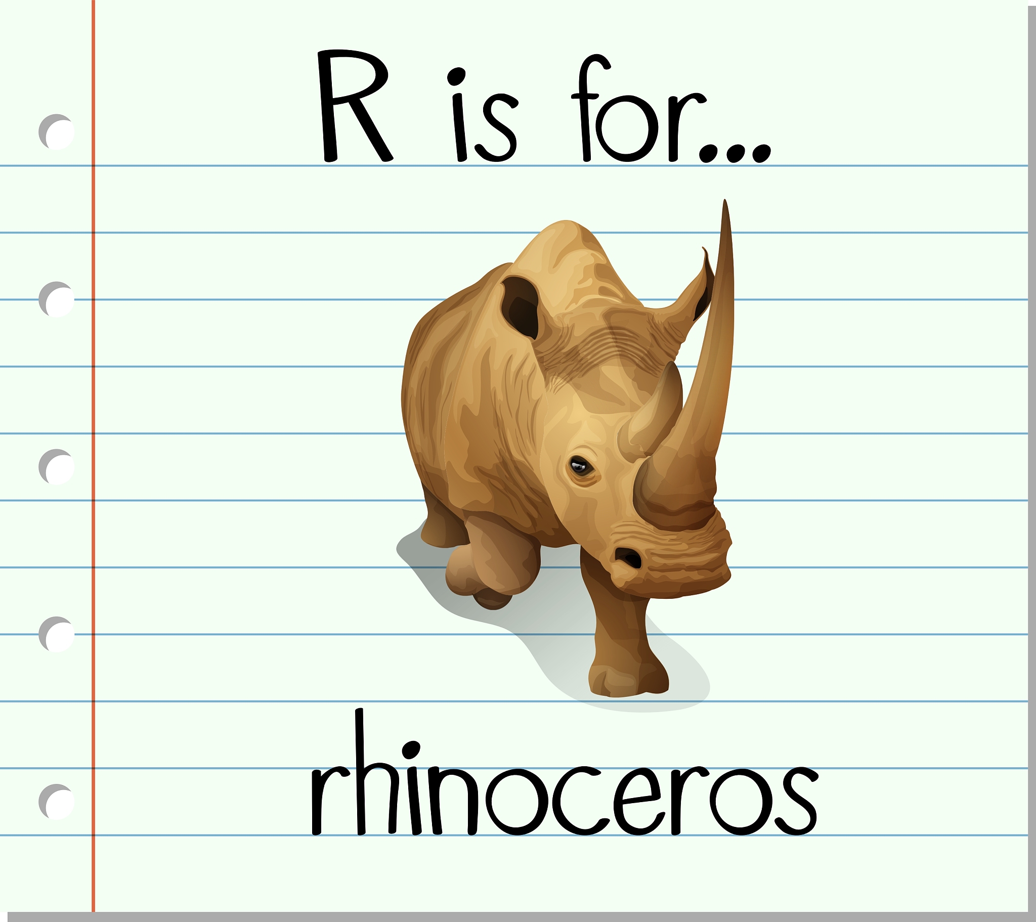 RH字母组合的单词列表：从Rhinal到Rhizopod