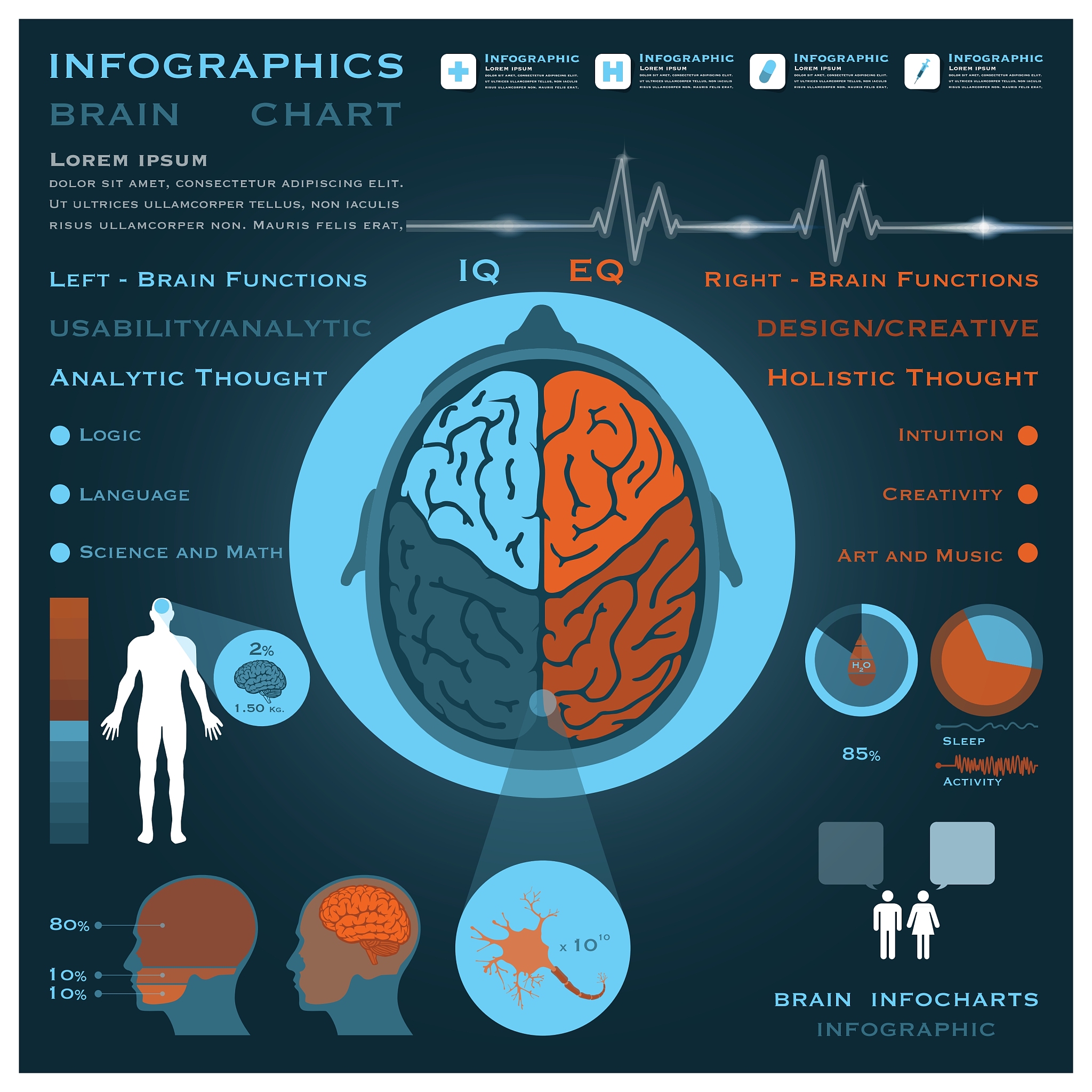Voxel-wise FC：脑区连接强度的数值指标