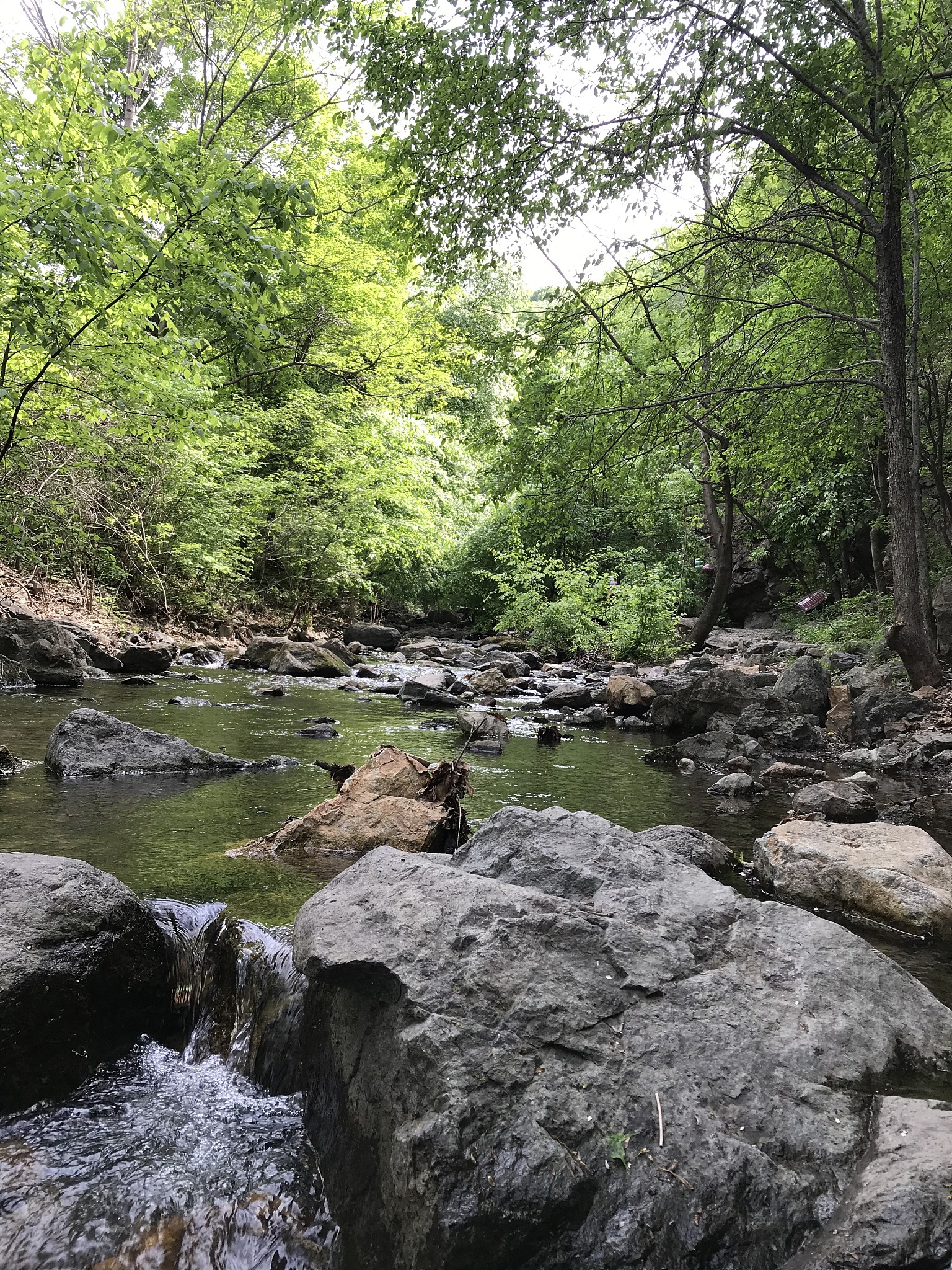 小溪边的美丽风景 - 小学作文